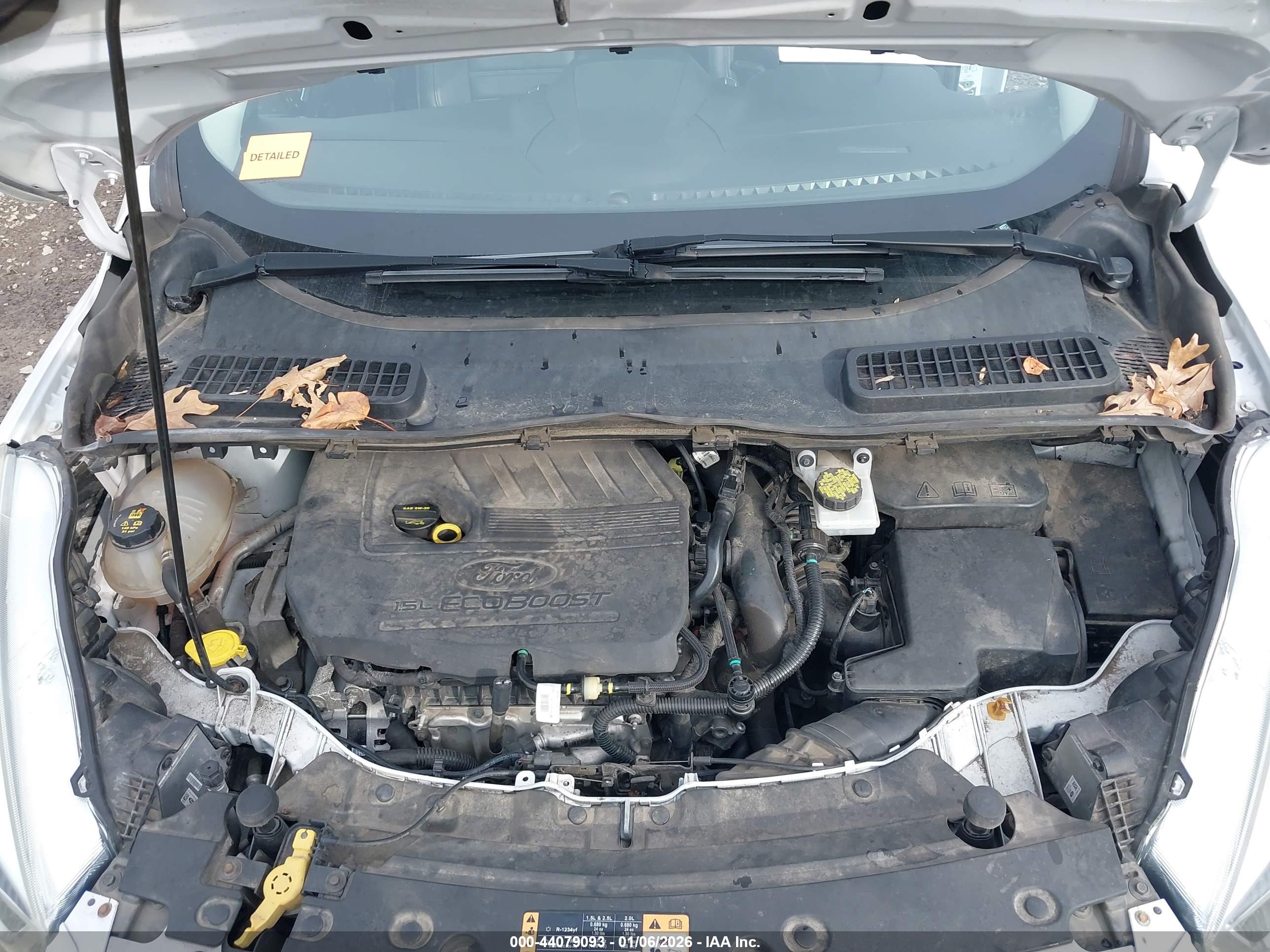 FORD ESCAPE image 10