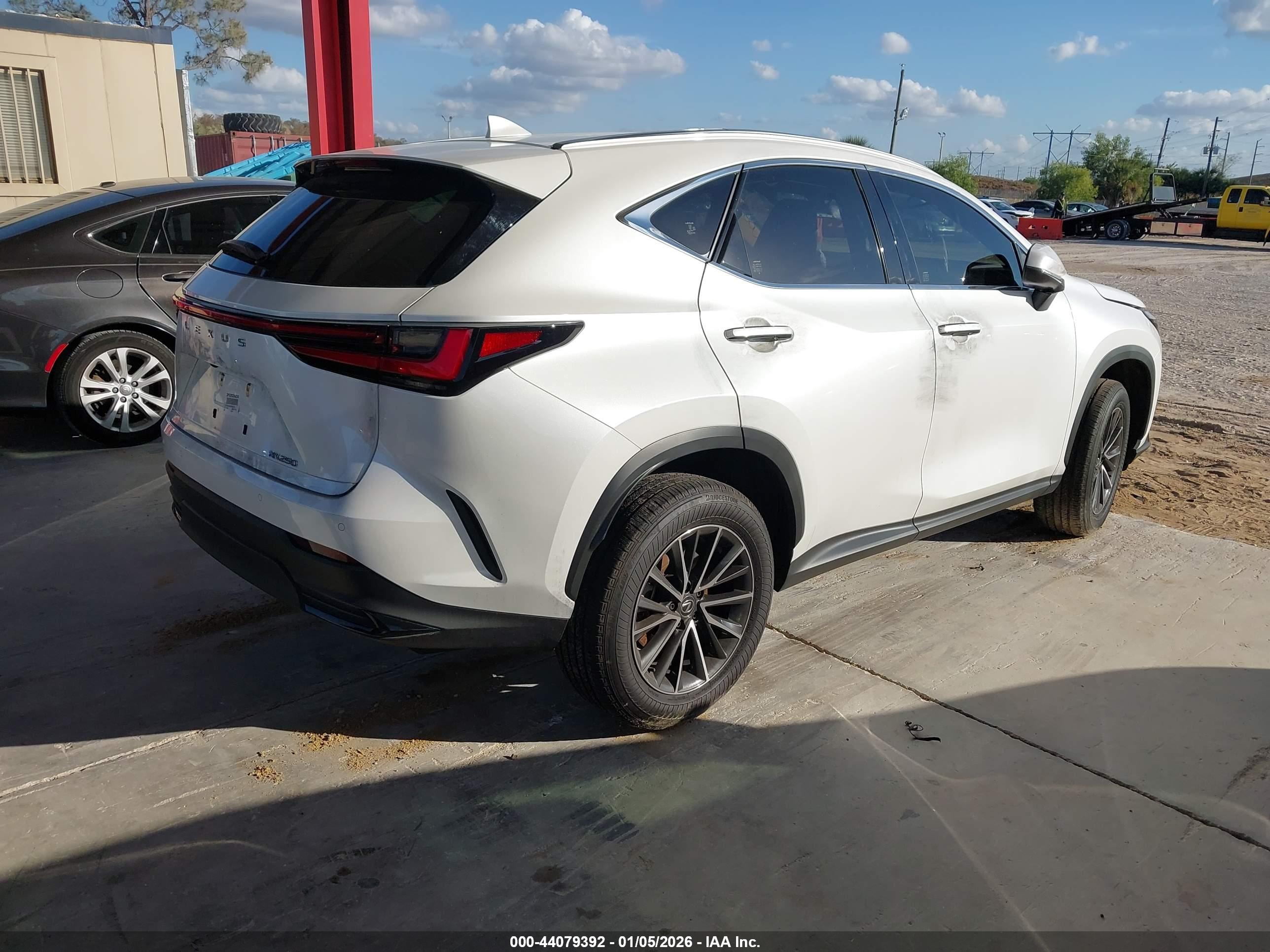 LEXUS NX image 4