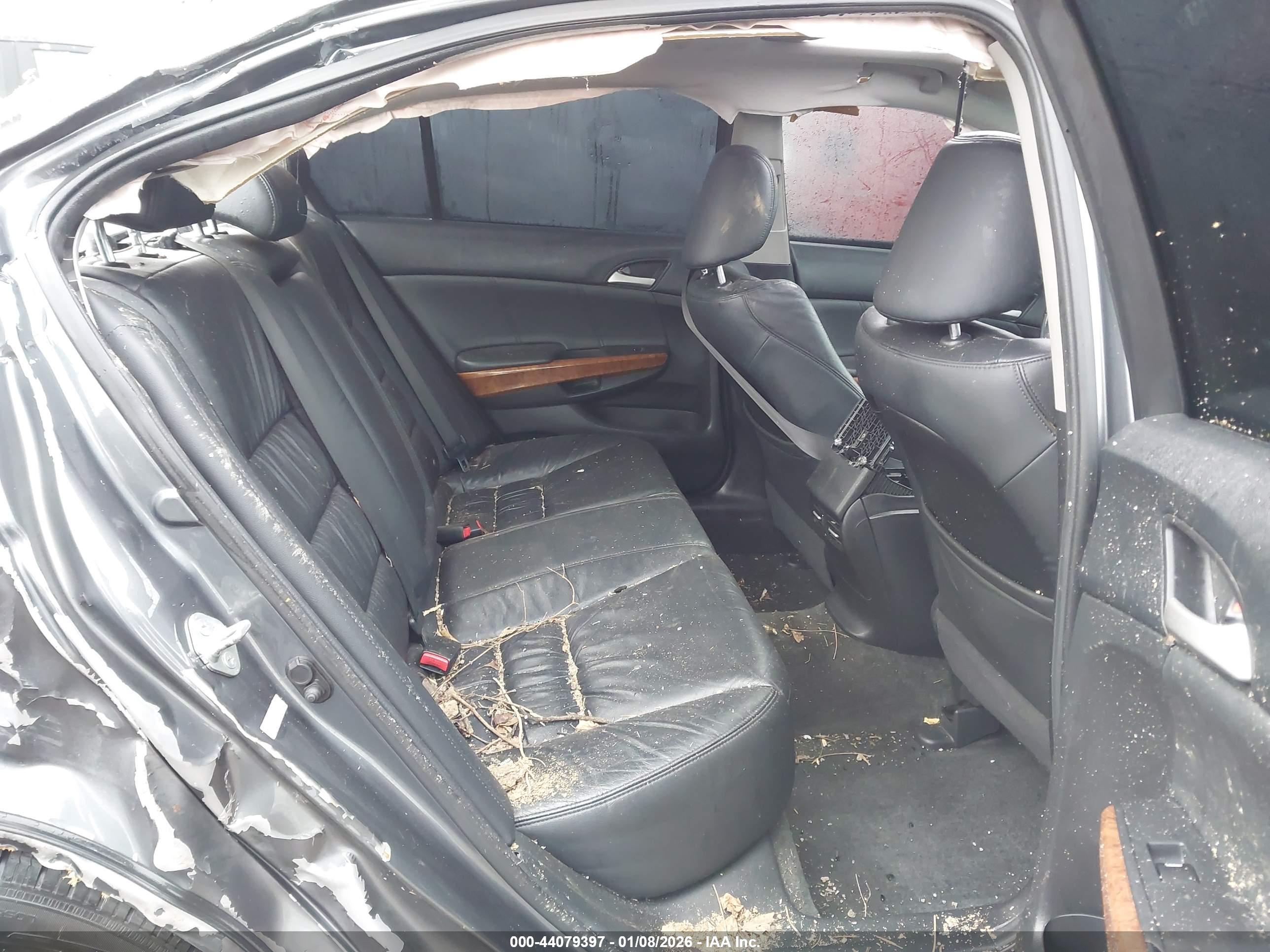HONDA ACCORD image 8