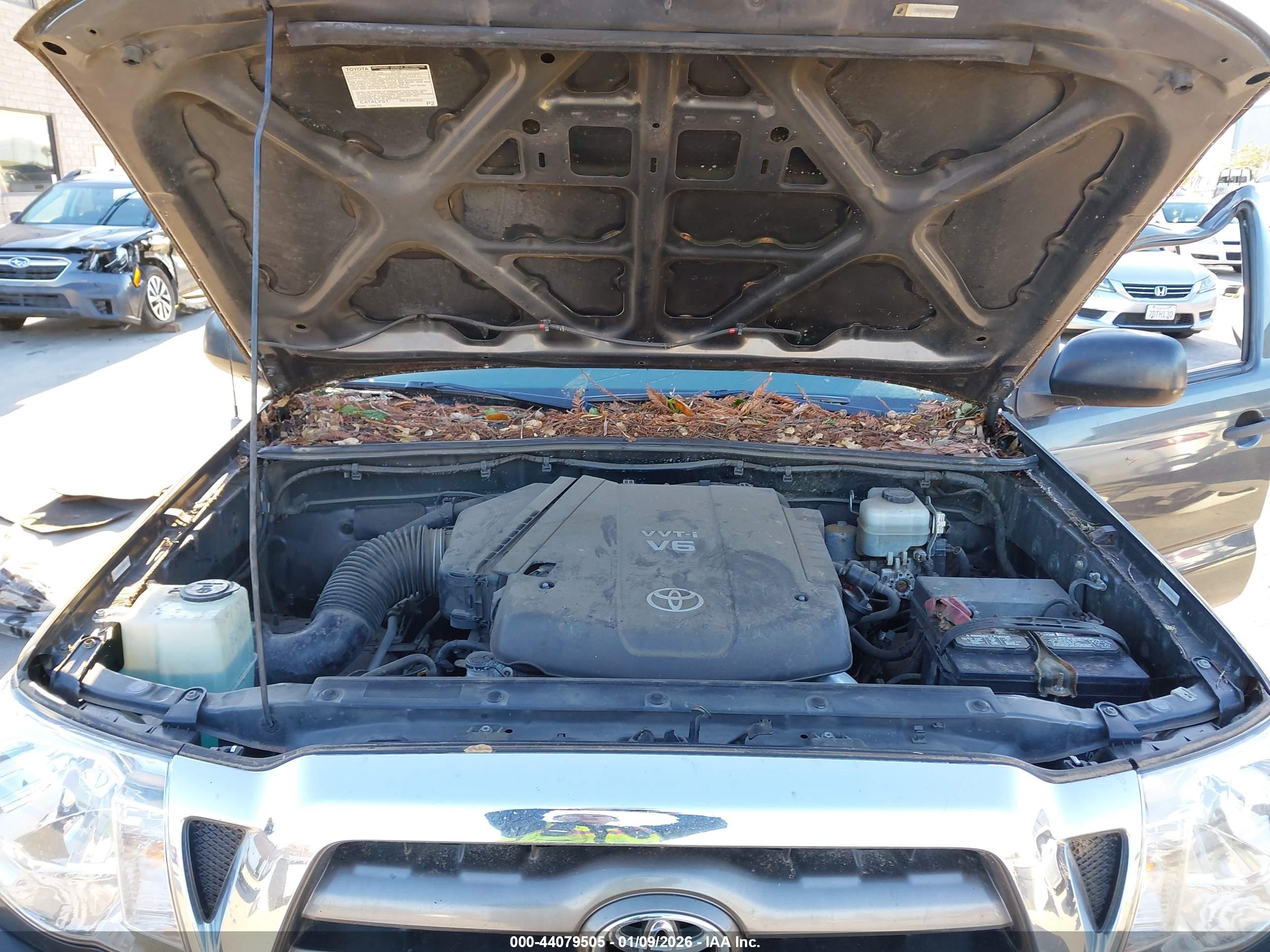 TOYOTA TACOMA image 10