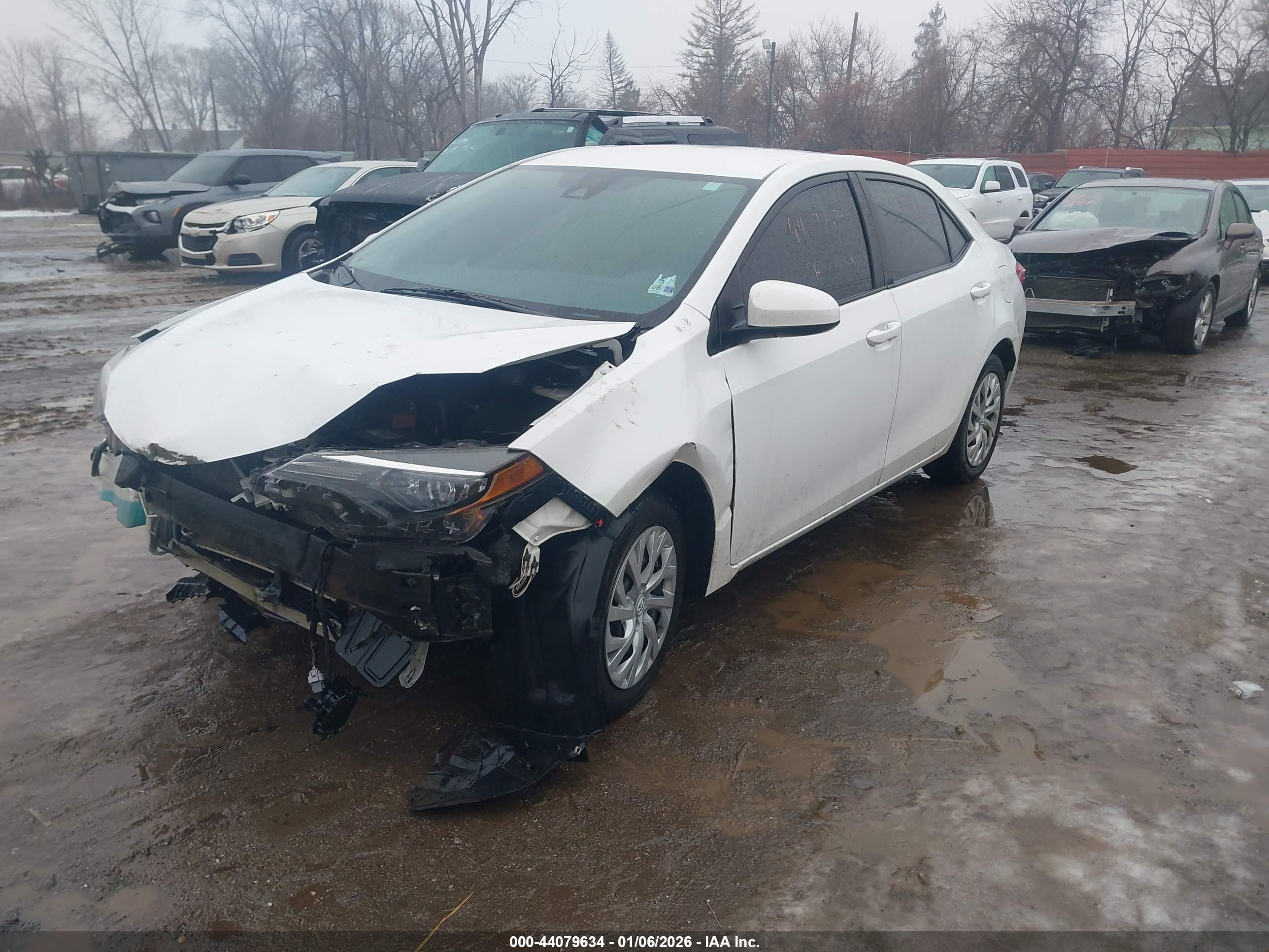 TOYOTA COROLLA image 2