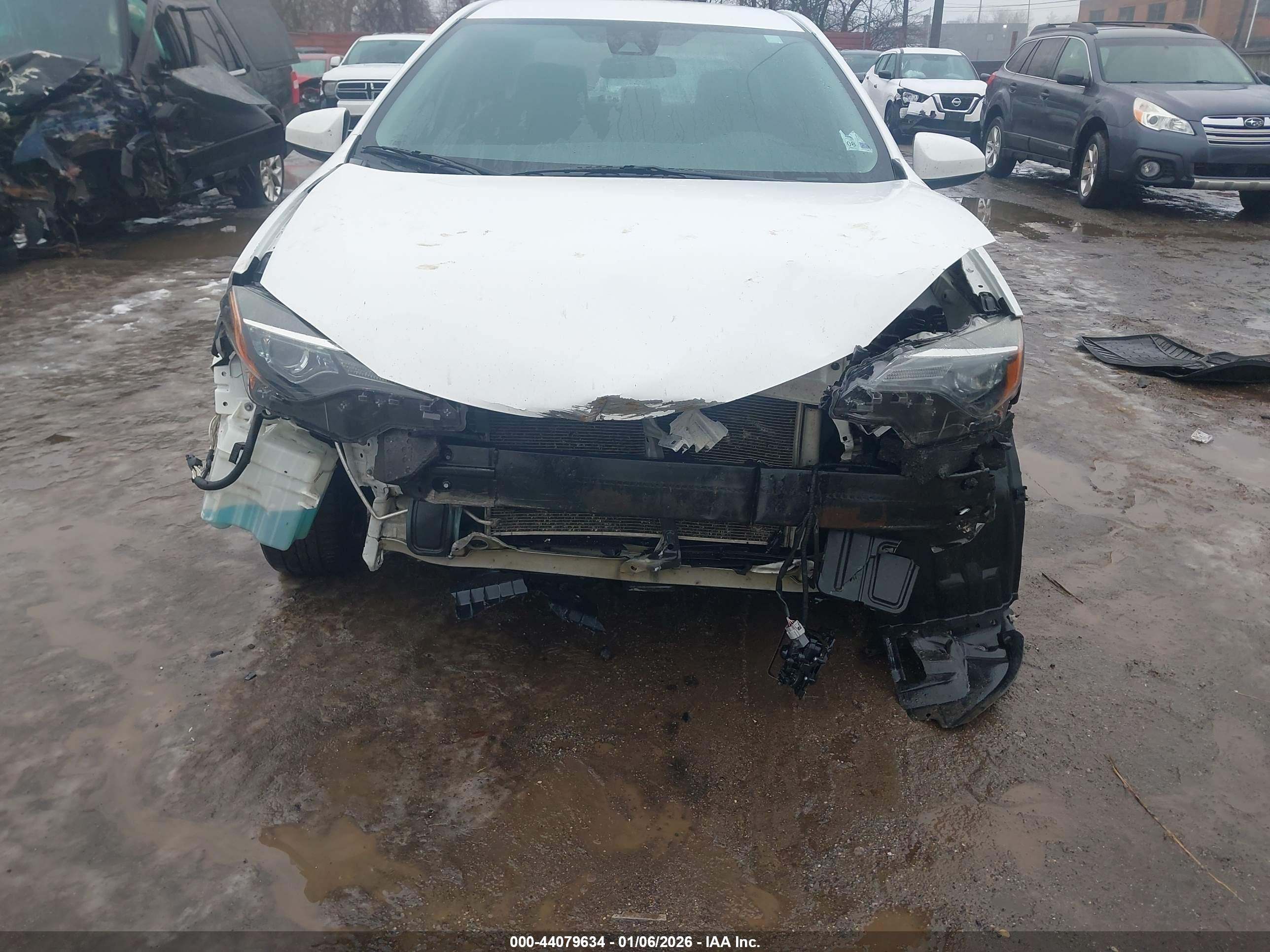 TOYOTA COROLLA image 6