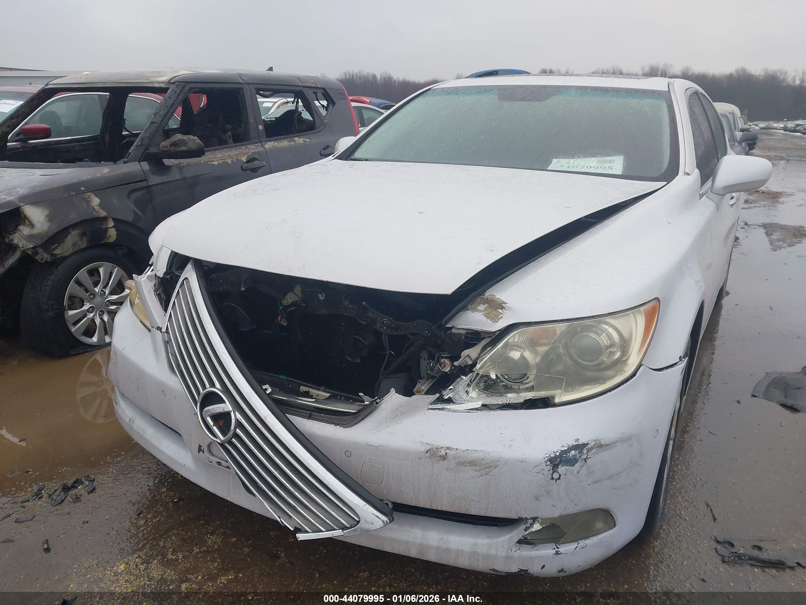 LEXUS LS image 6