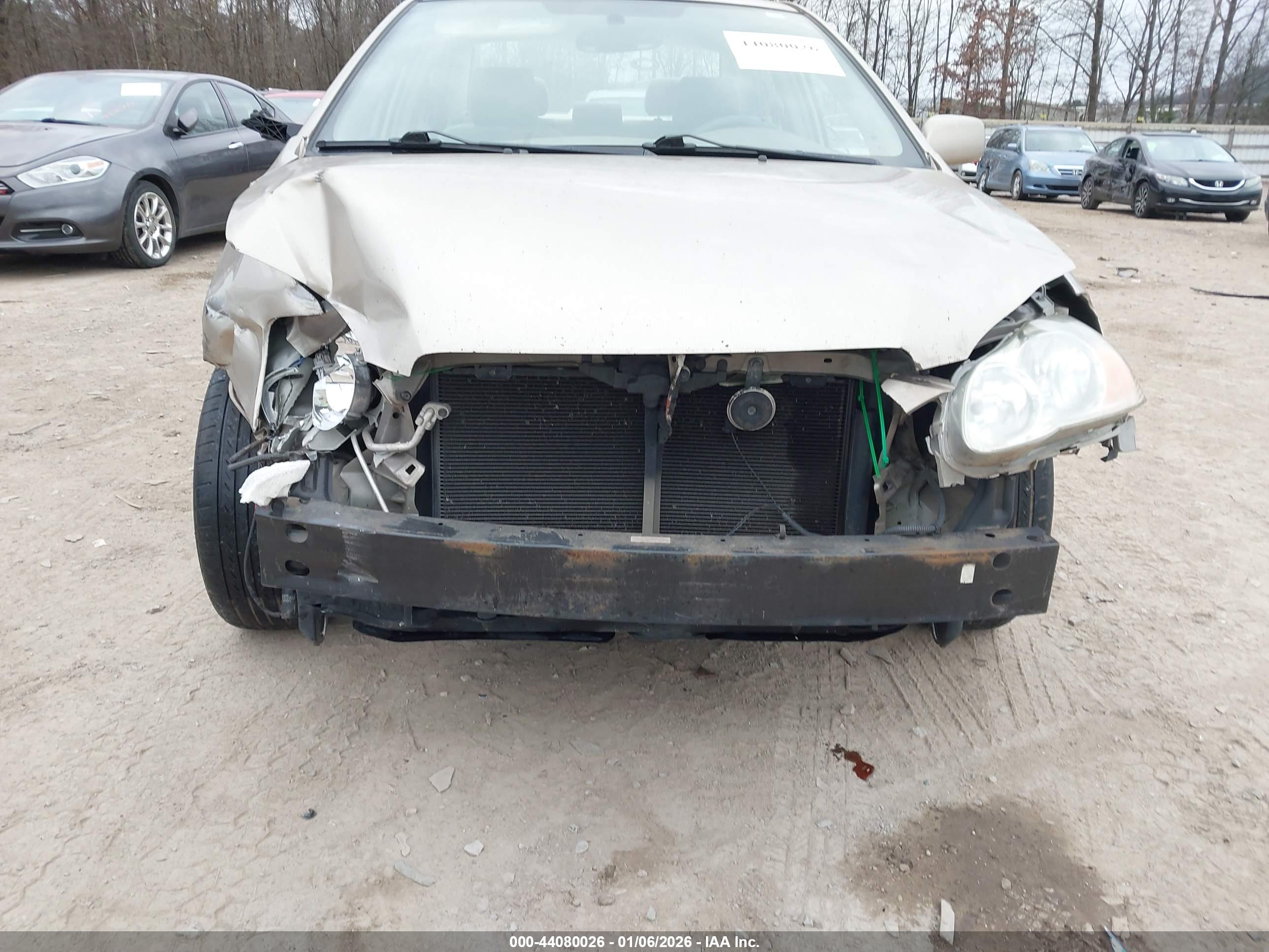 TOYOTA COROLLA image 6