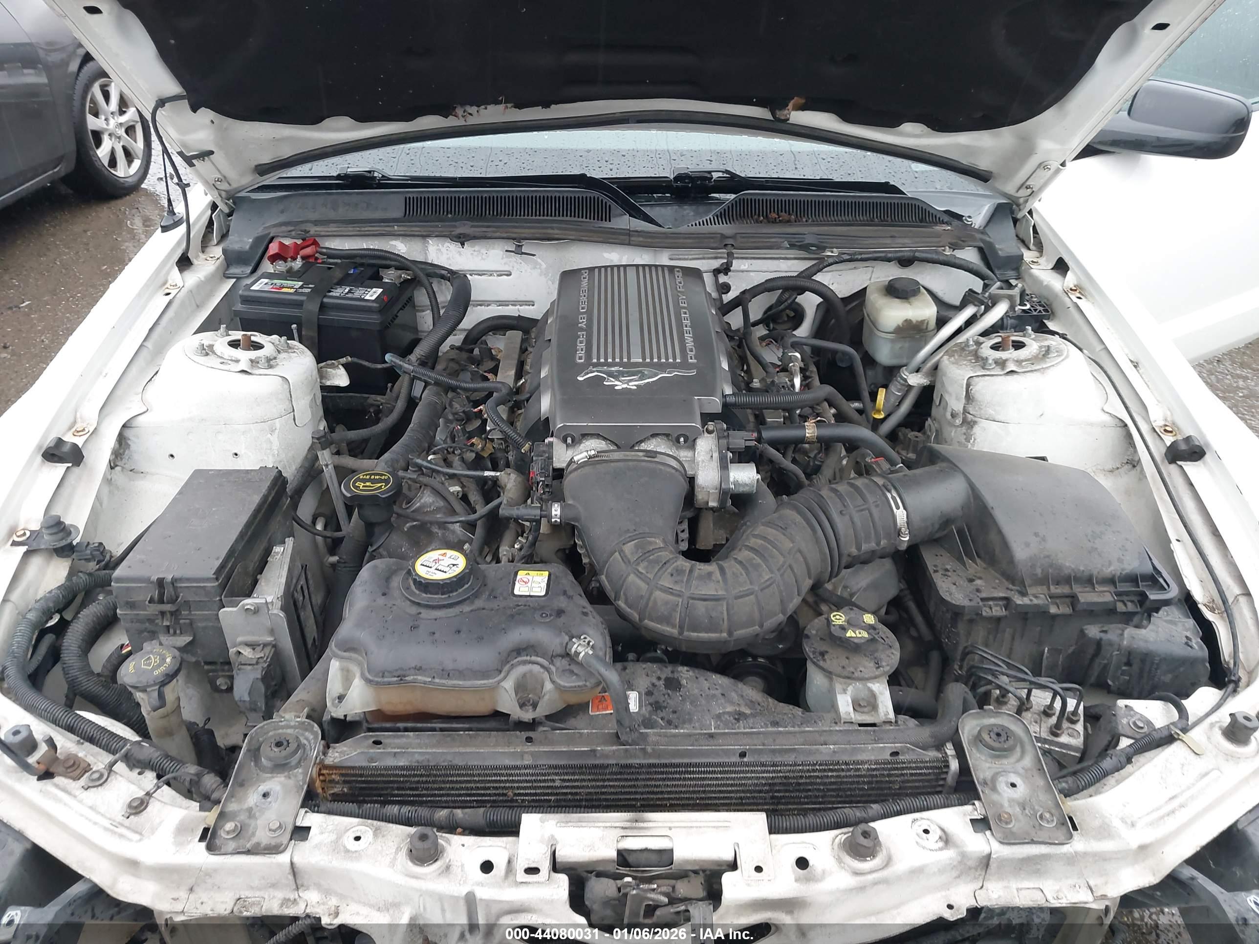 FORD MUSTANG image 10