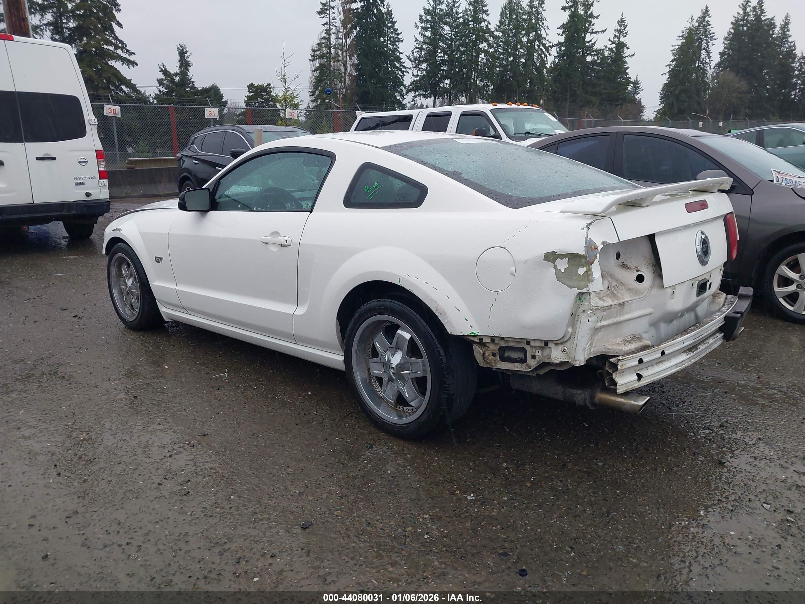 FORD MUSTANG image 3