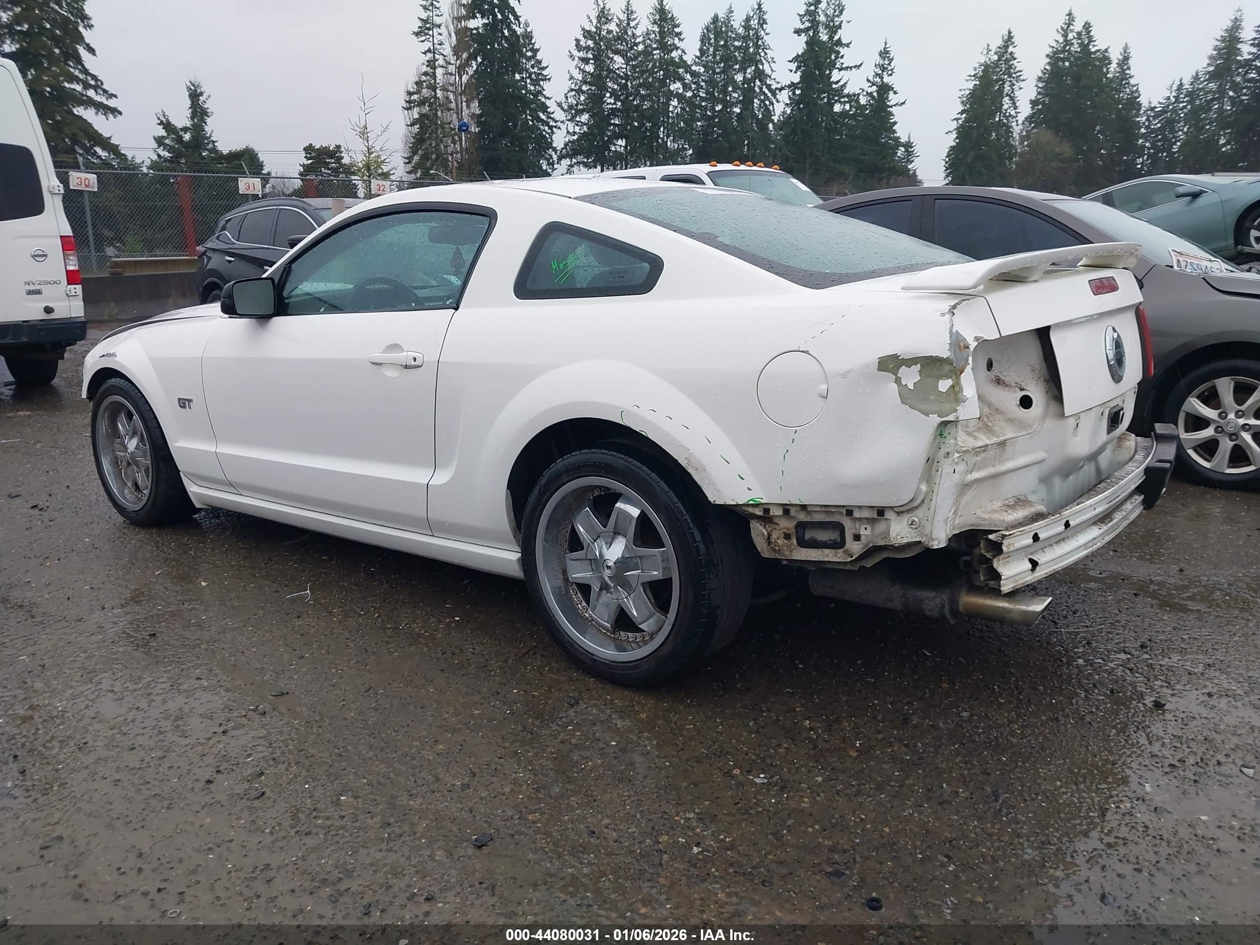 FORD MUSTANG image 6