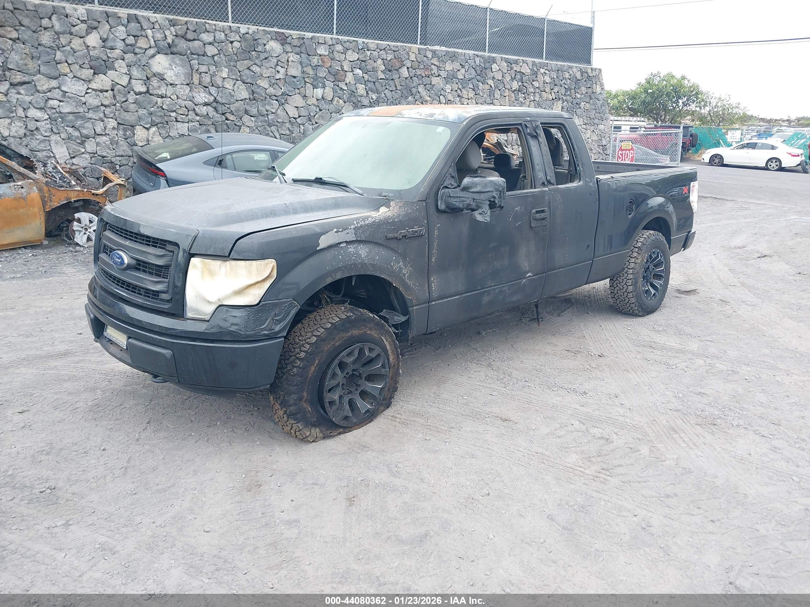 FORD F-150 image 2