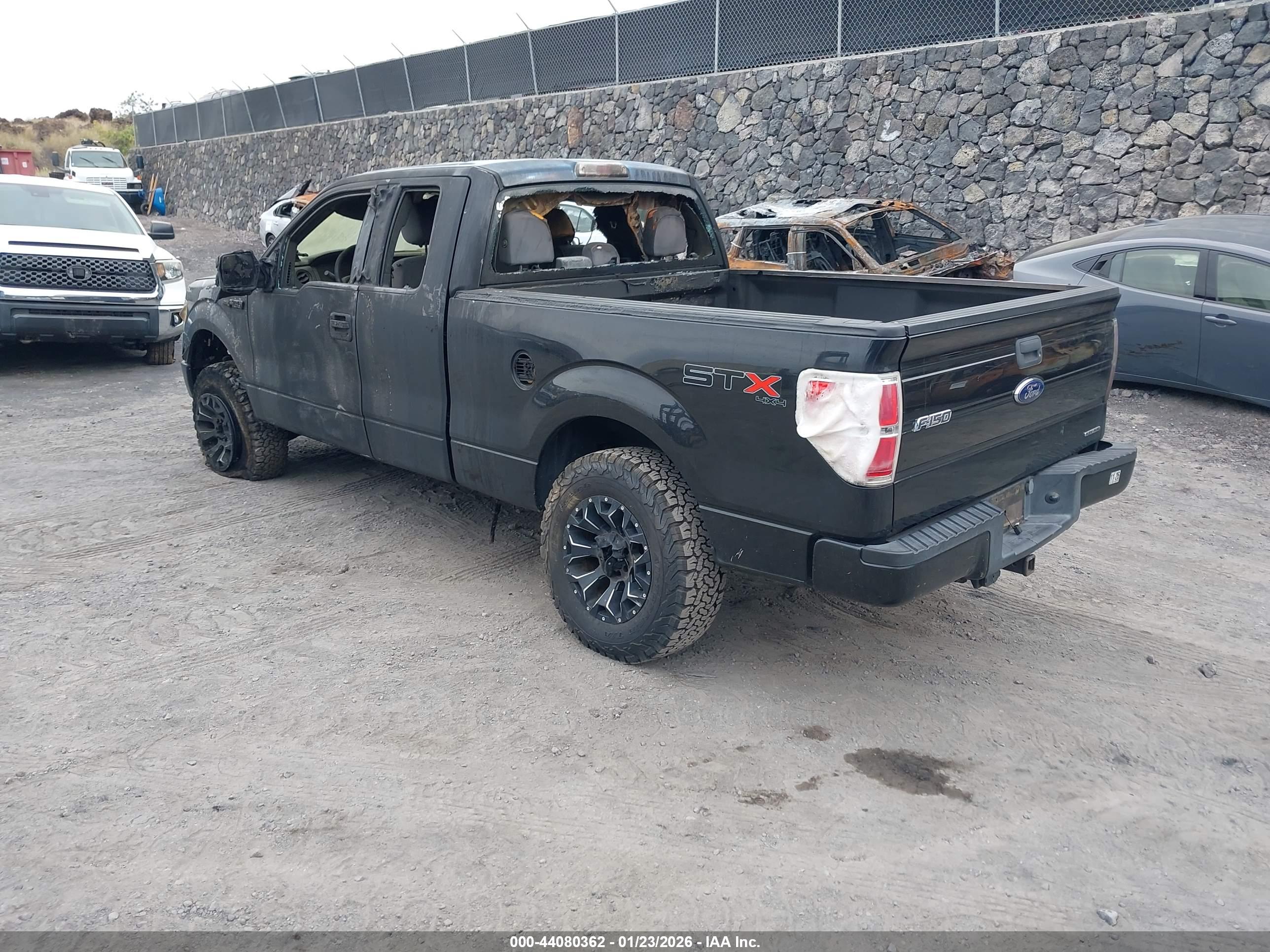 FORD F-150 image 3