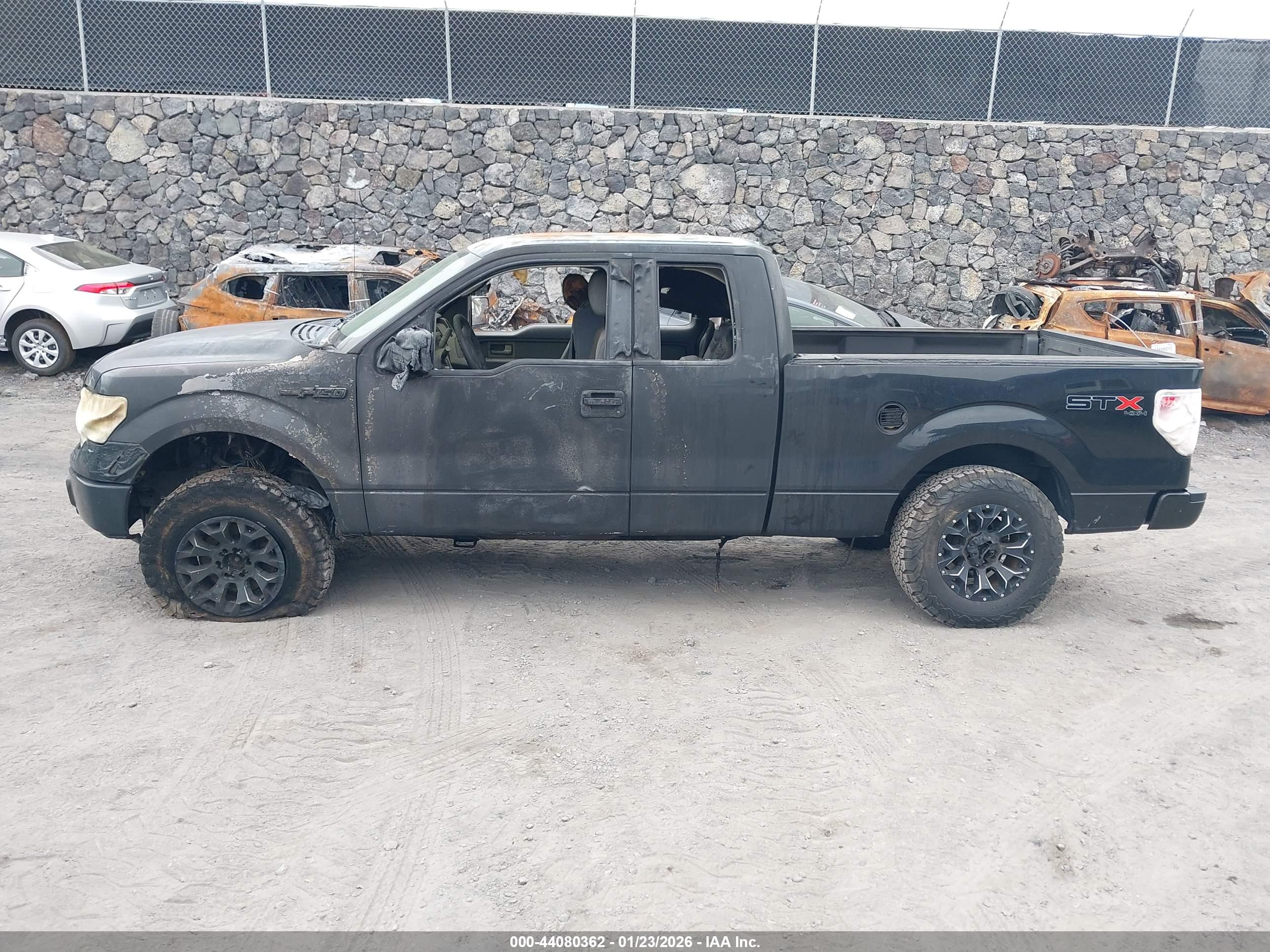 FORD F-150 image 6