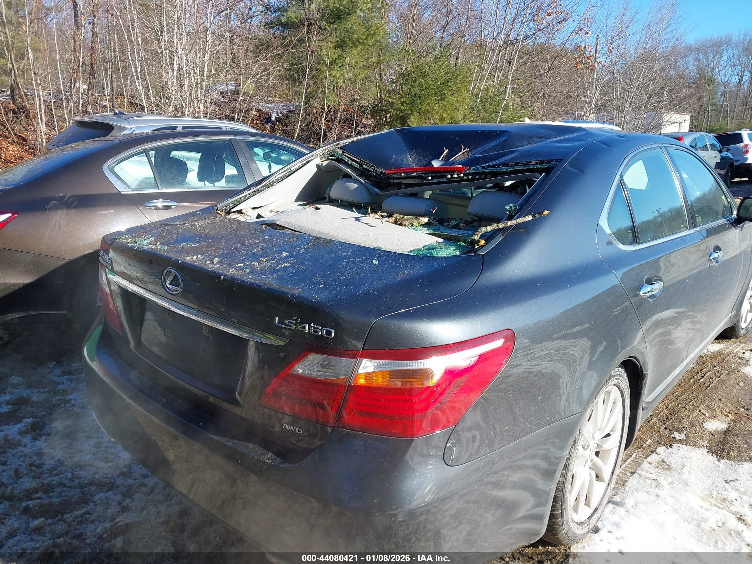 LEXUS LS image 4