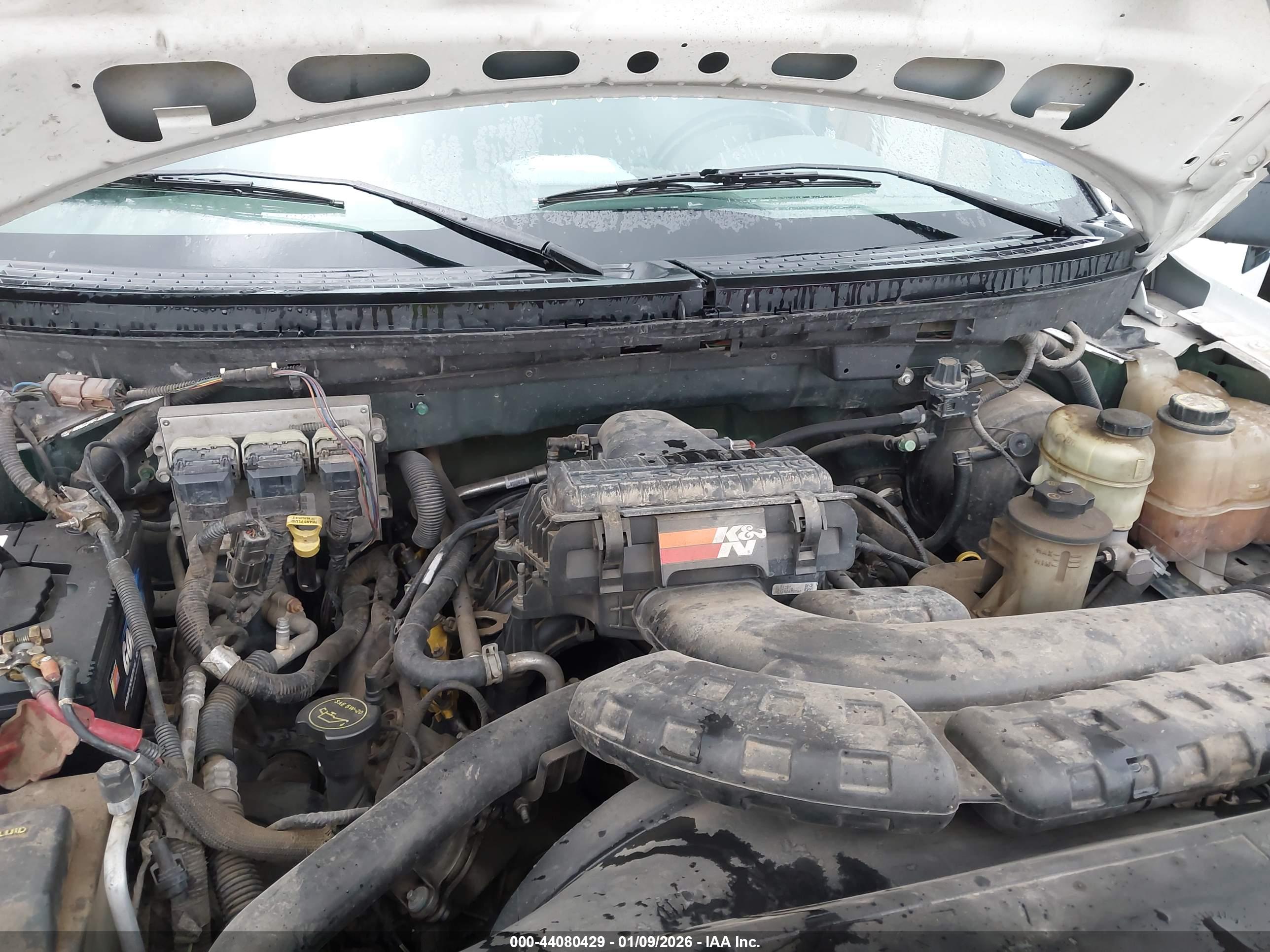 FORD F-150 image 10