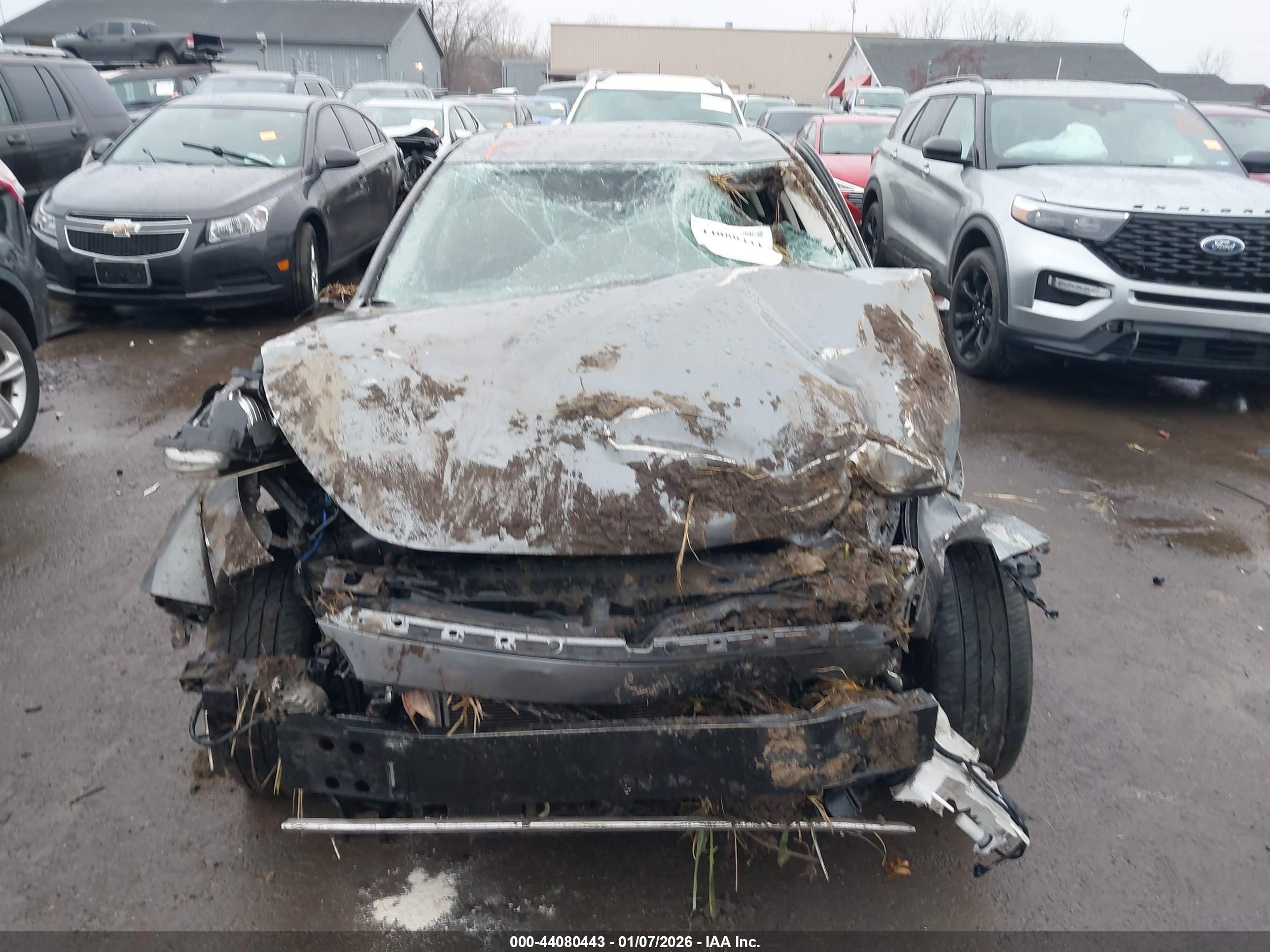 INFINITI Q50 image 6