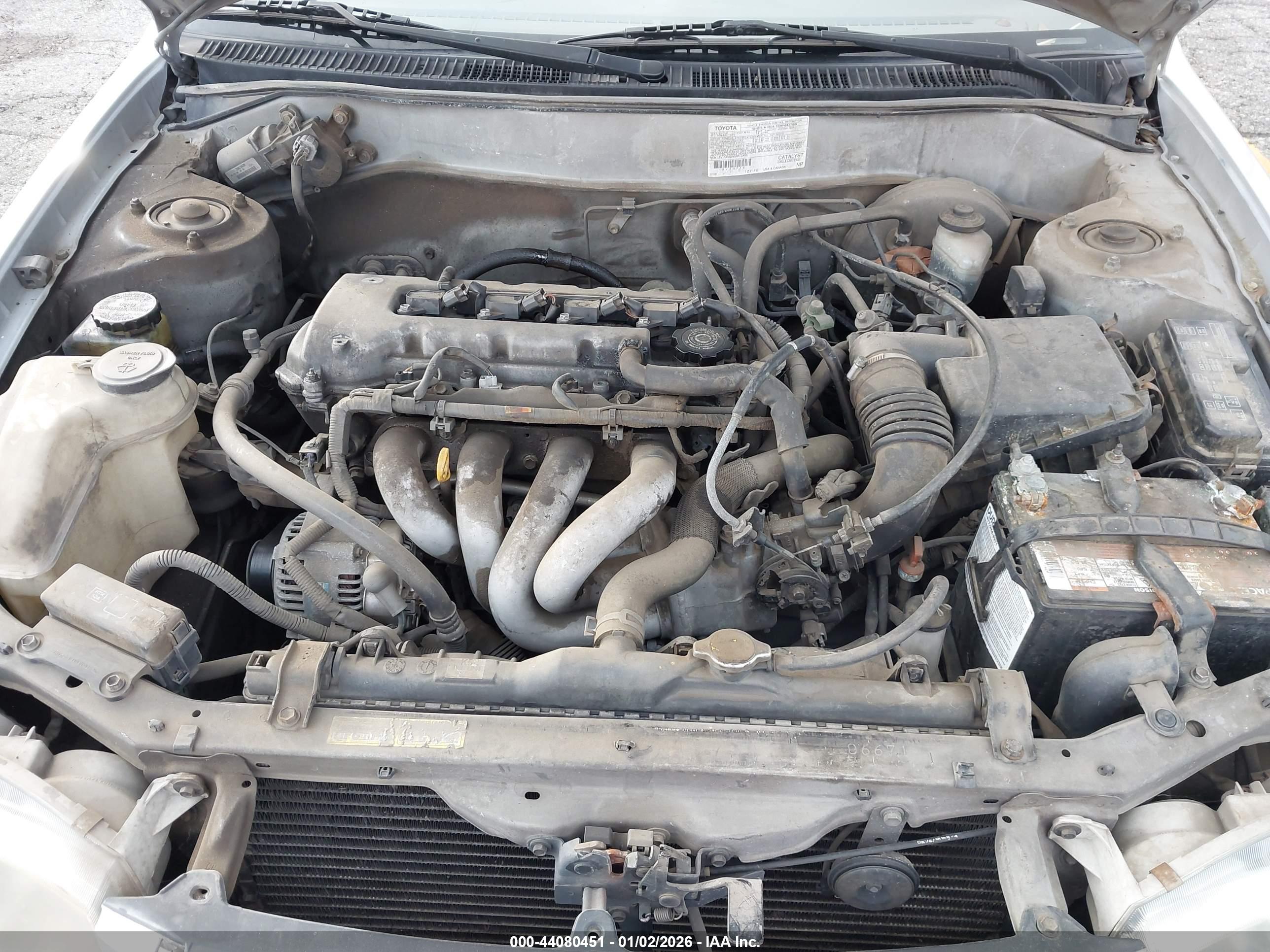 TOYOTA COROLLA image 10