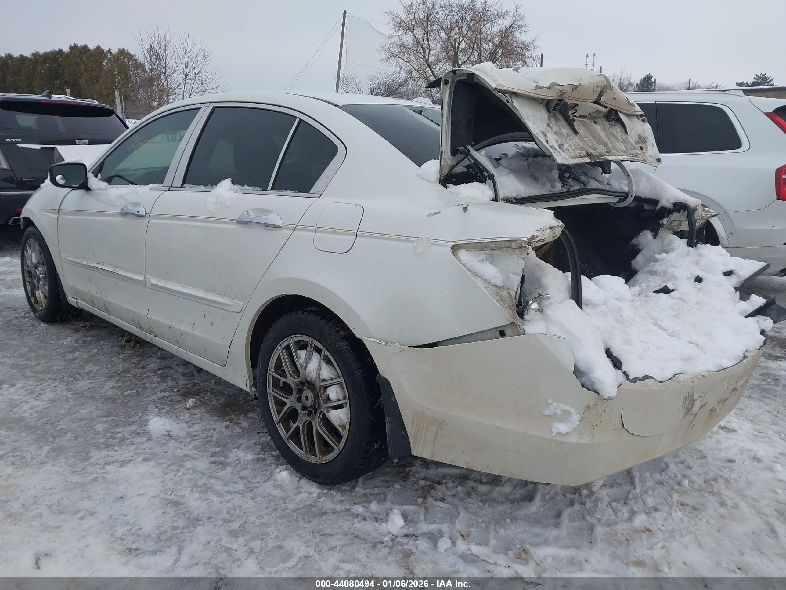 HONDA ACCORD image 3