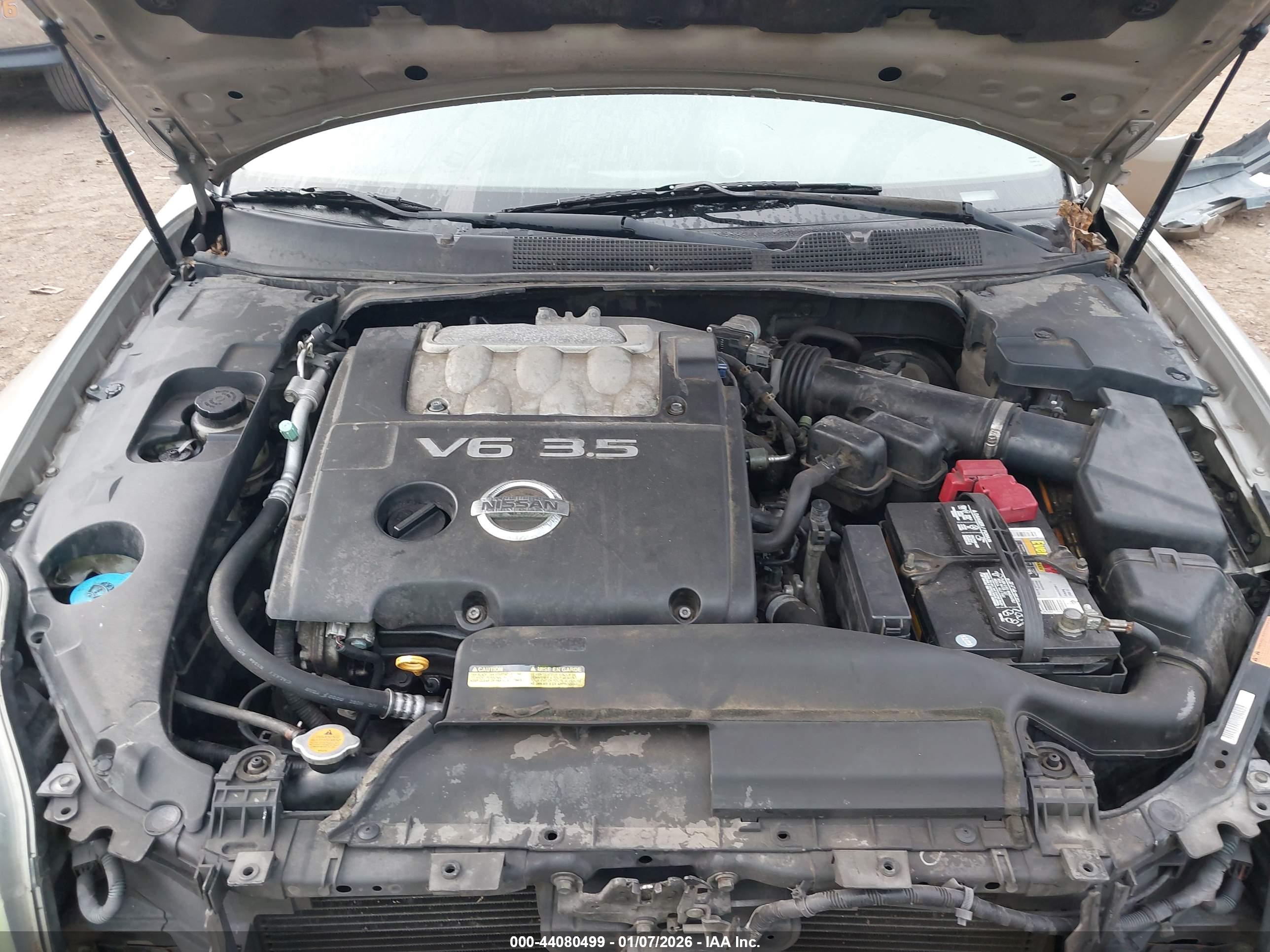 NISSAN MAXIMA image 10