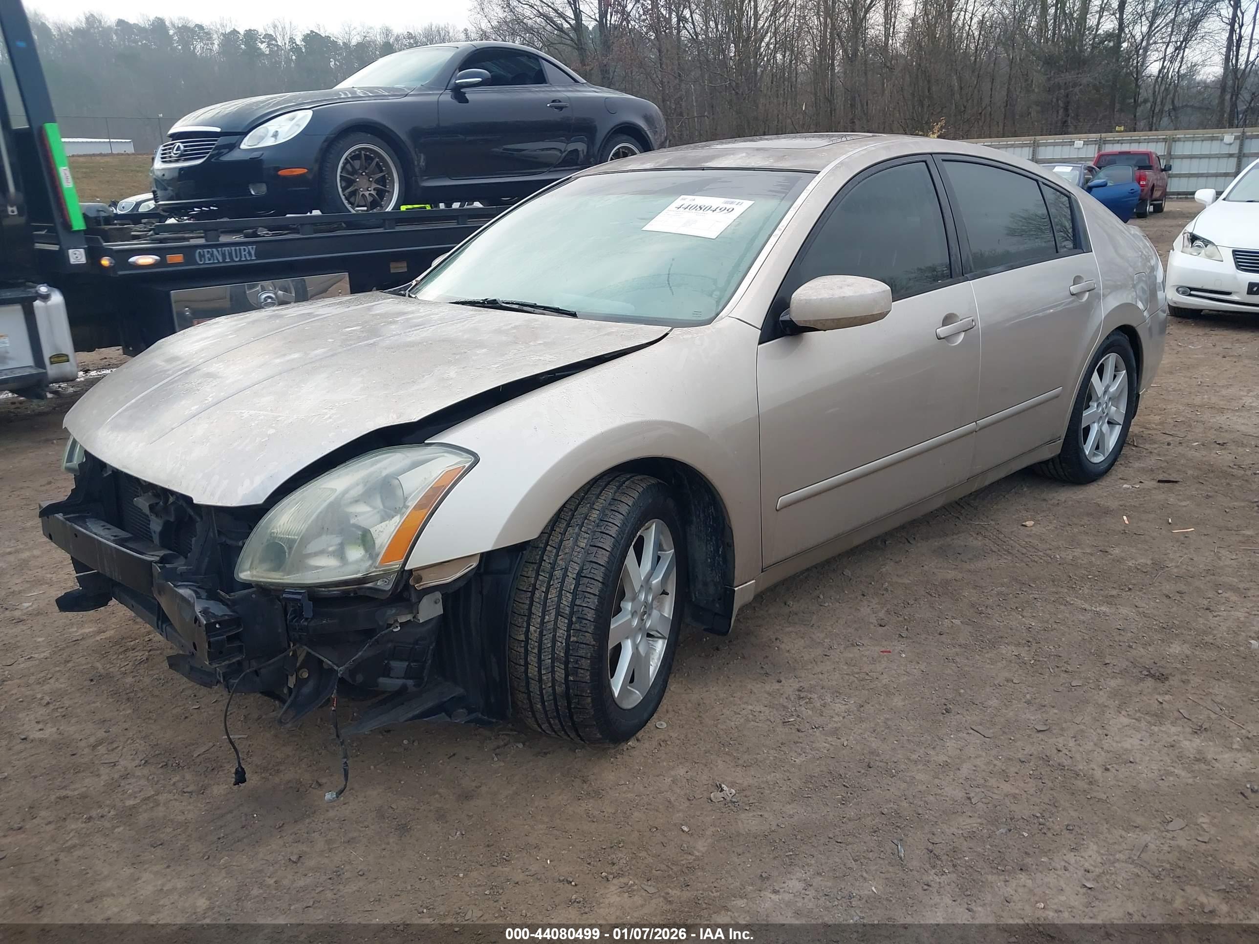 NISSAN MAXIMA image 2