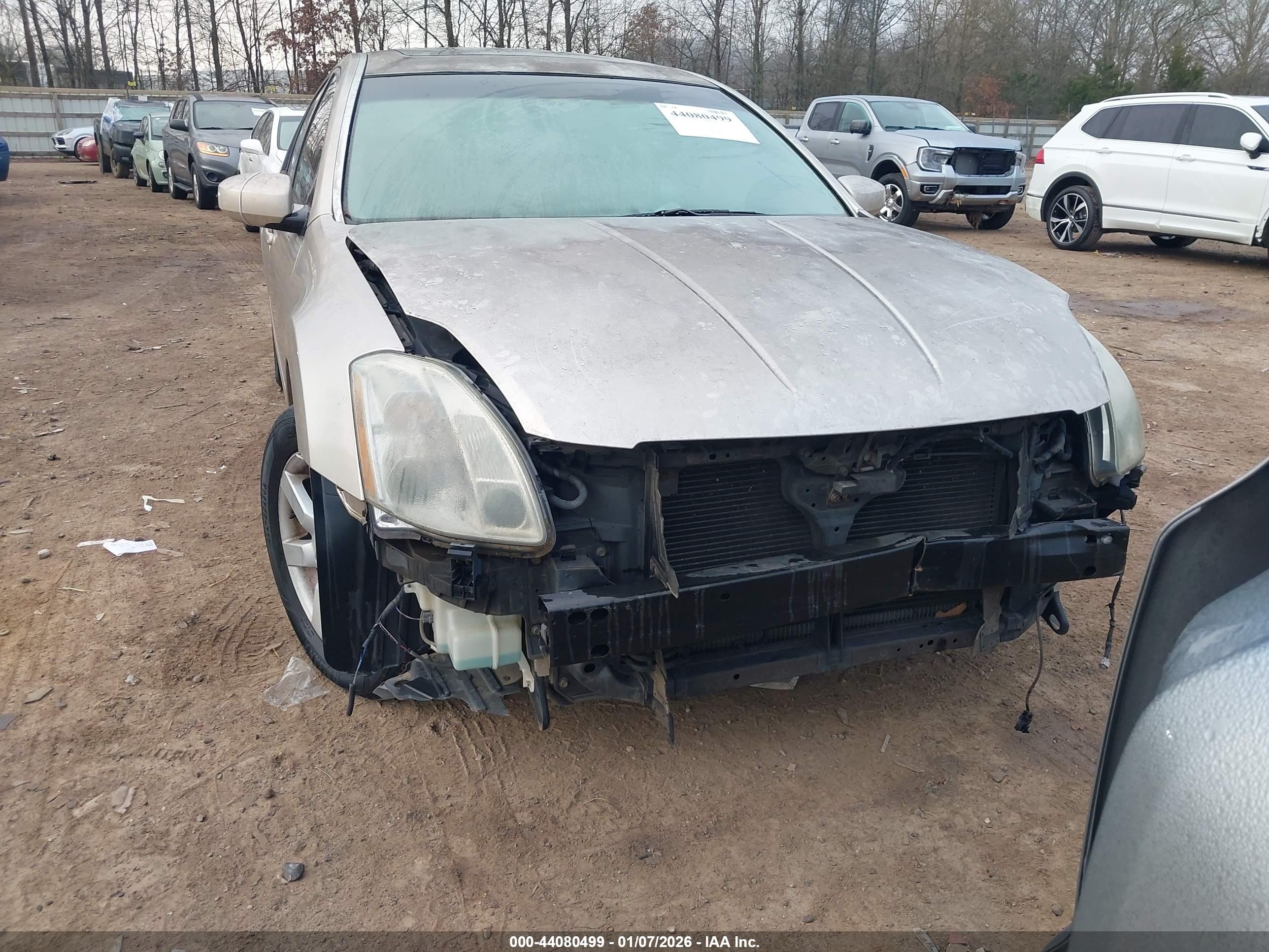NISSAN MAXIMA image 6