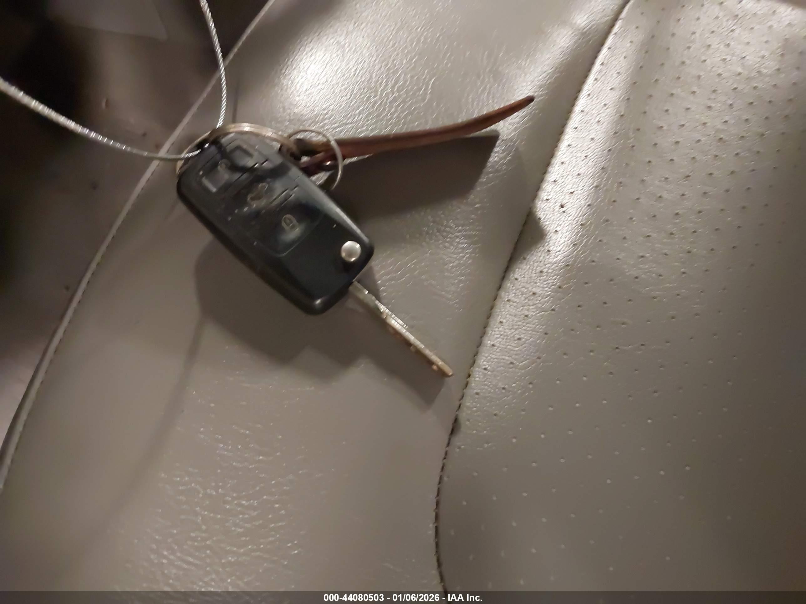 VOLKSWAGEN NEW image 11