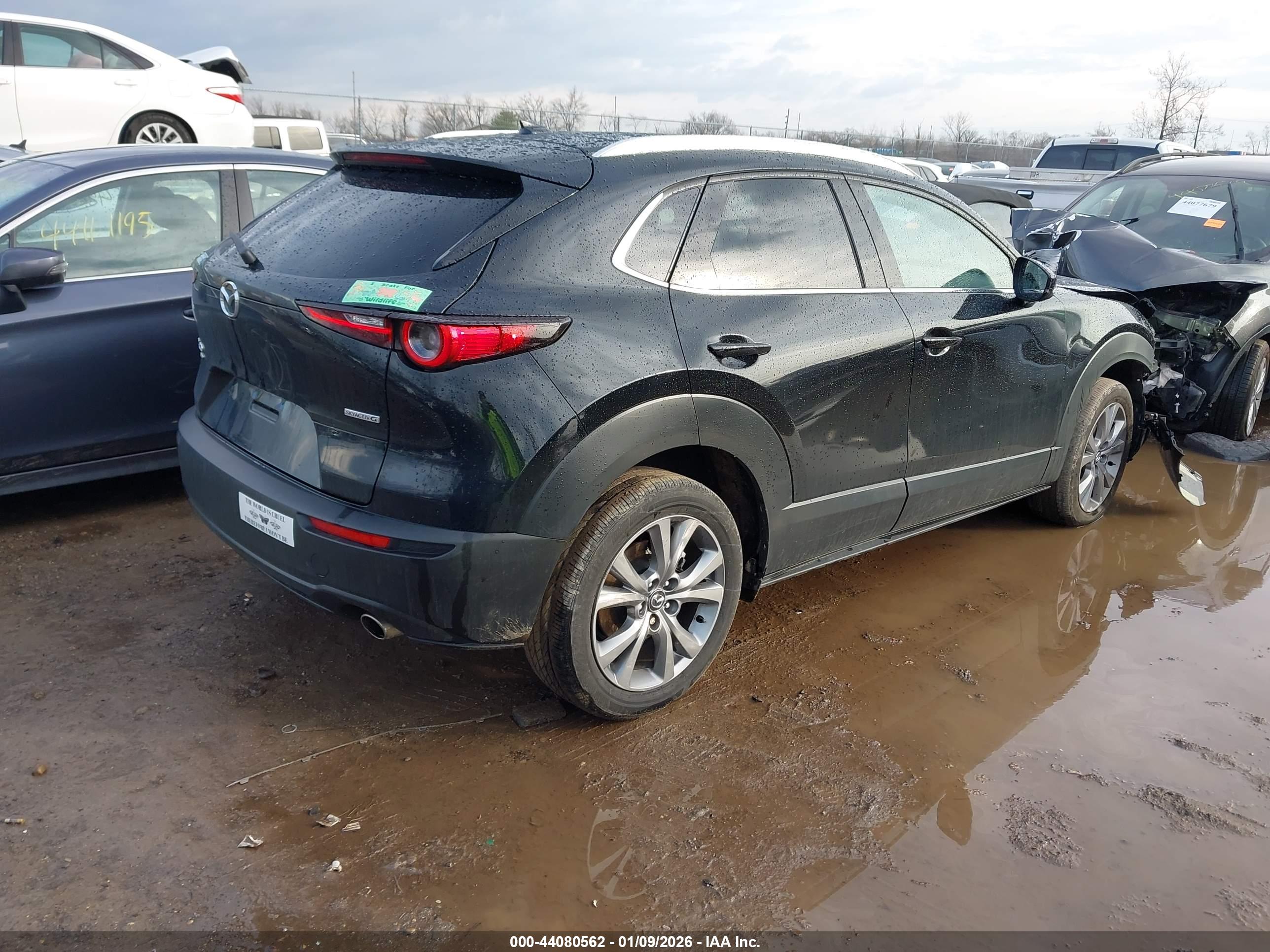 MAZDA CX-30 image 4