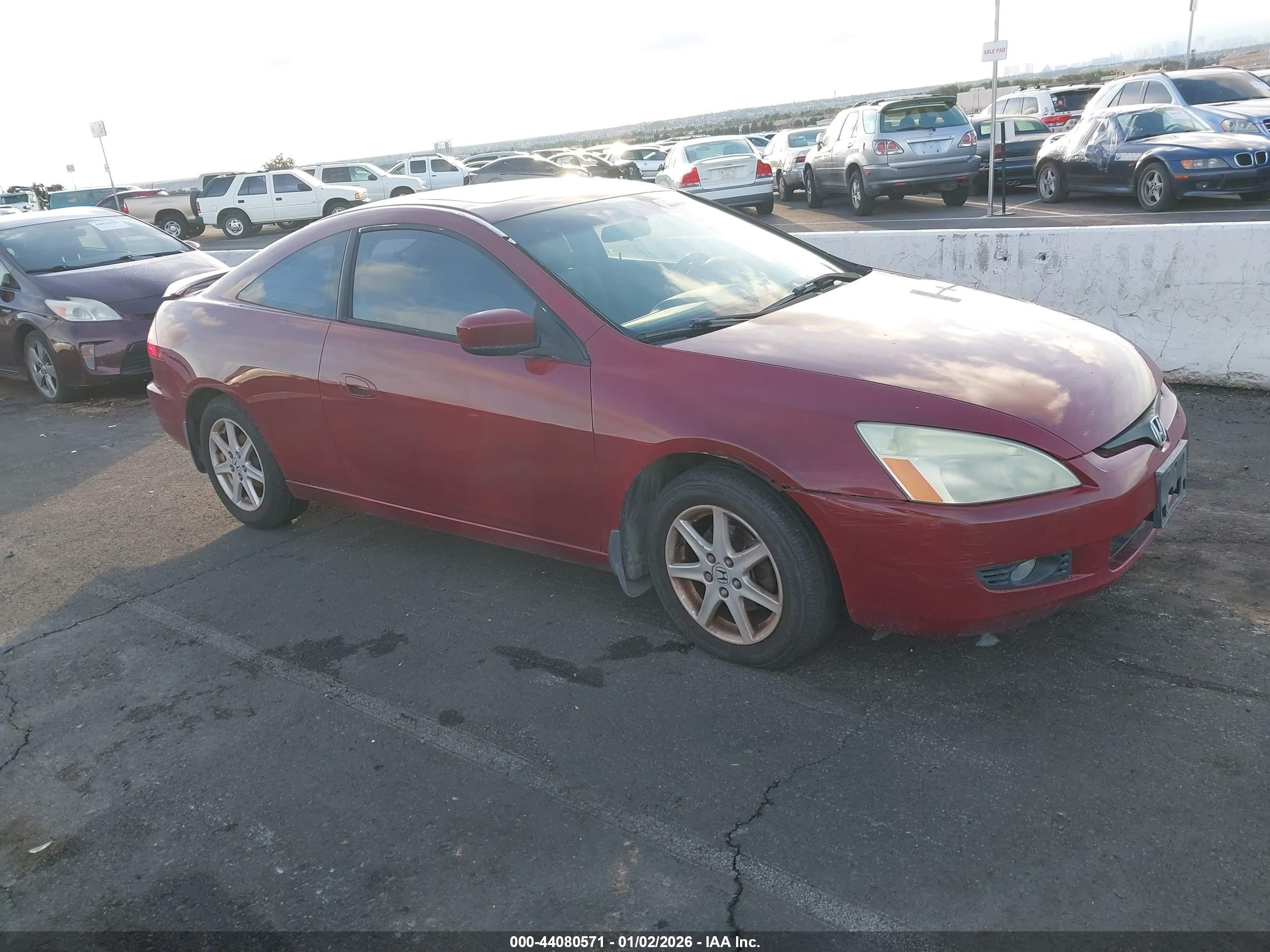 HONDA ACCORD image 6