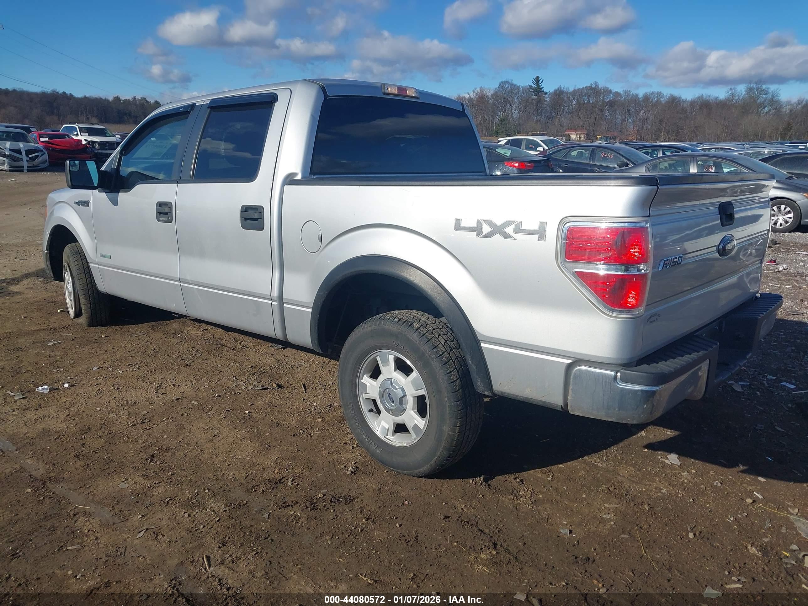 FORD F-150 image 3