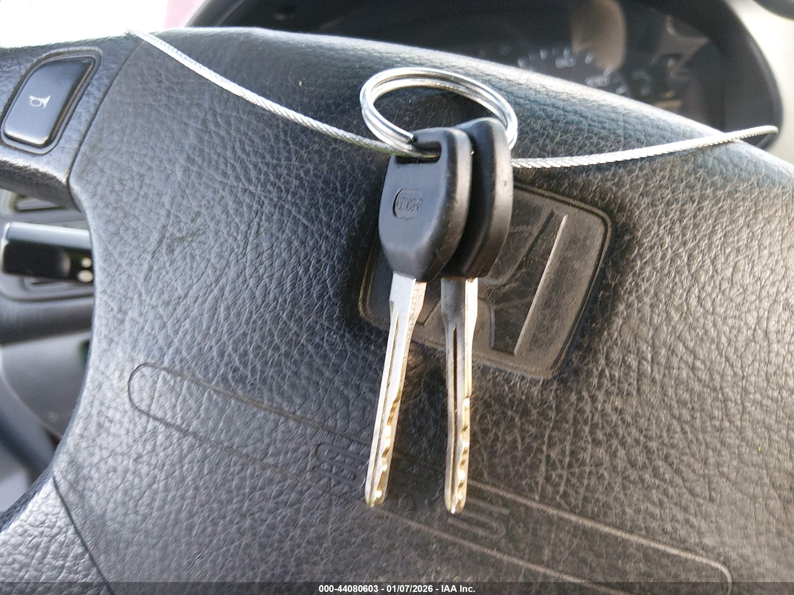 HONDA ACCORD image 11