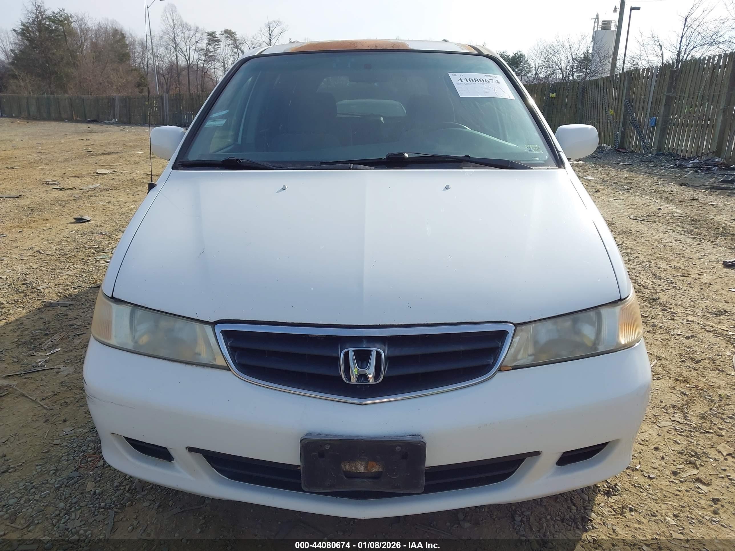 HONDA ODYSSEY image 6
