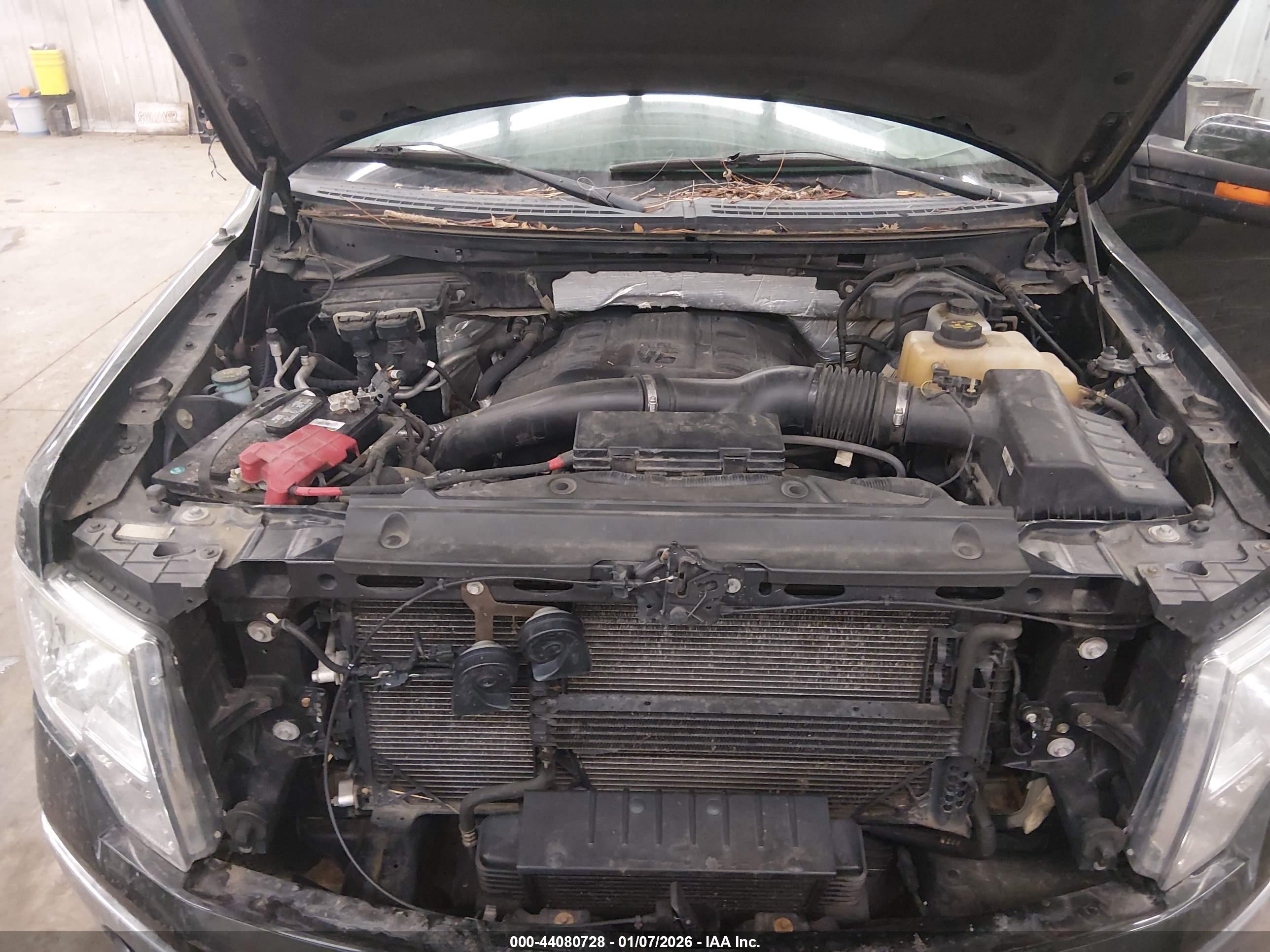 FORD F-150 image 10