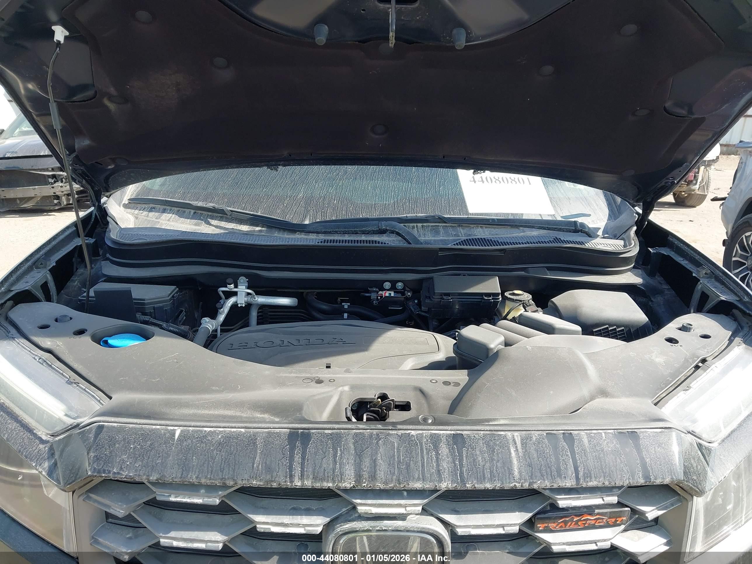 HONDA PASSPORT image 10