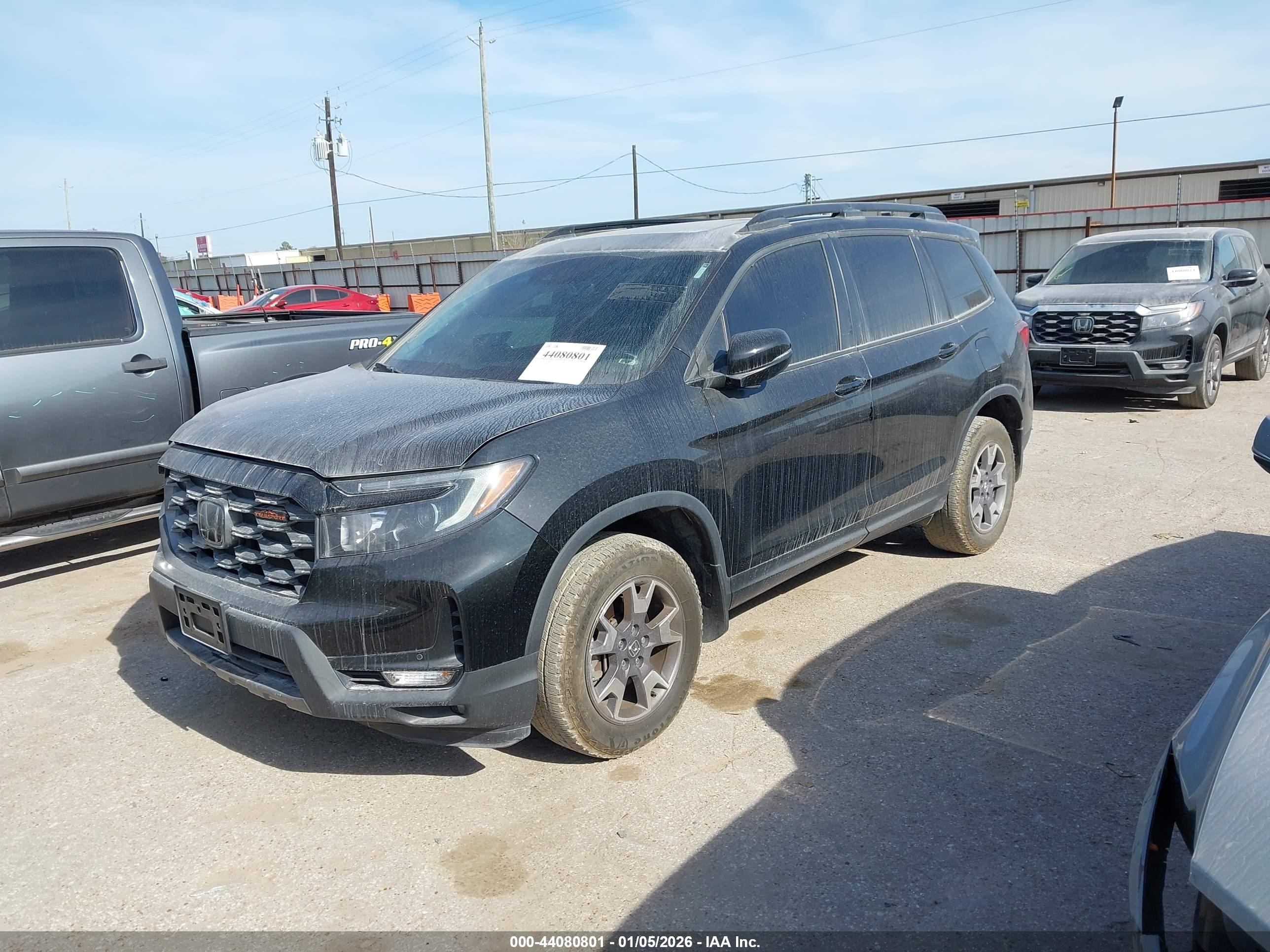 HONDA PASSPORT image 2