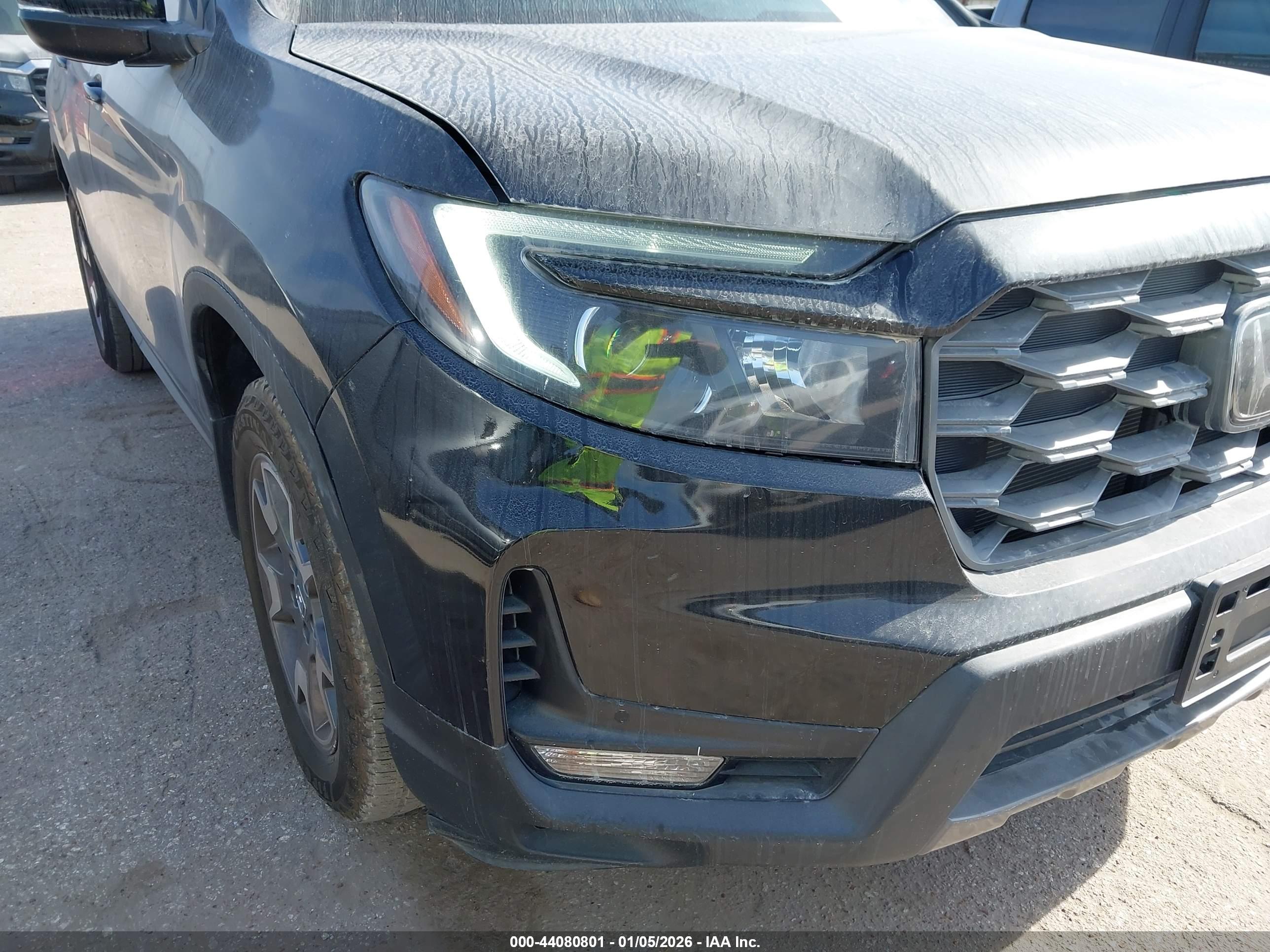 HONDA PASSPORT image 6