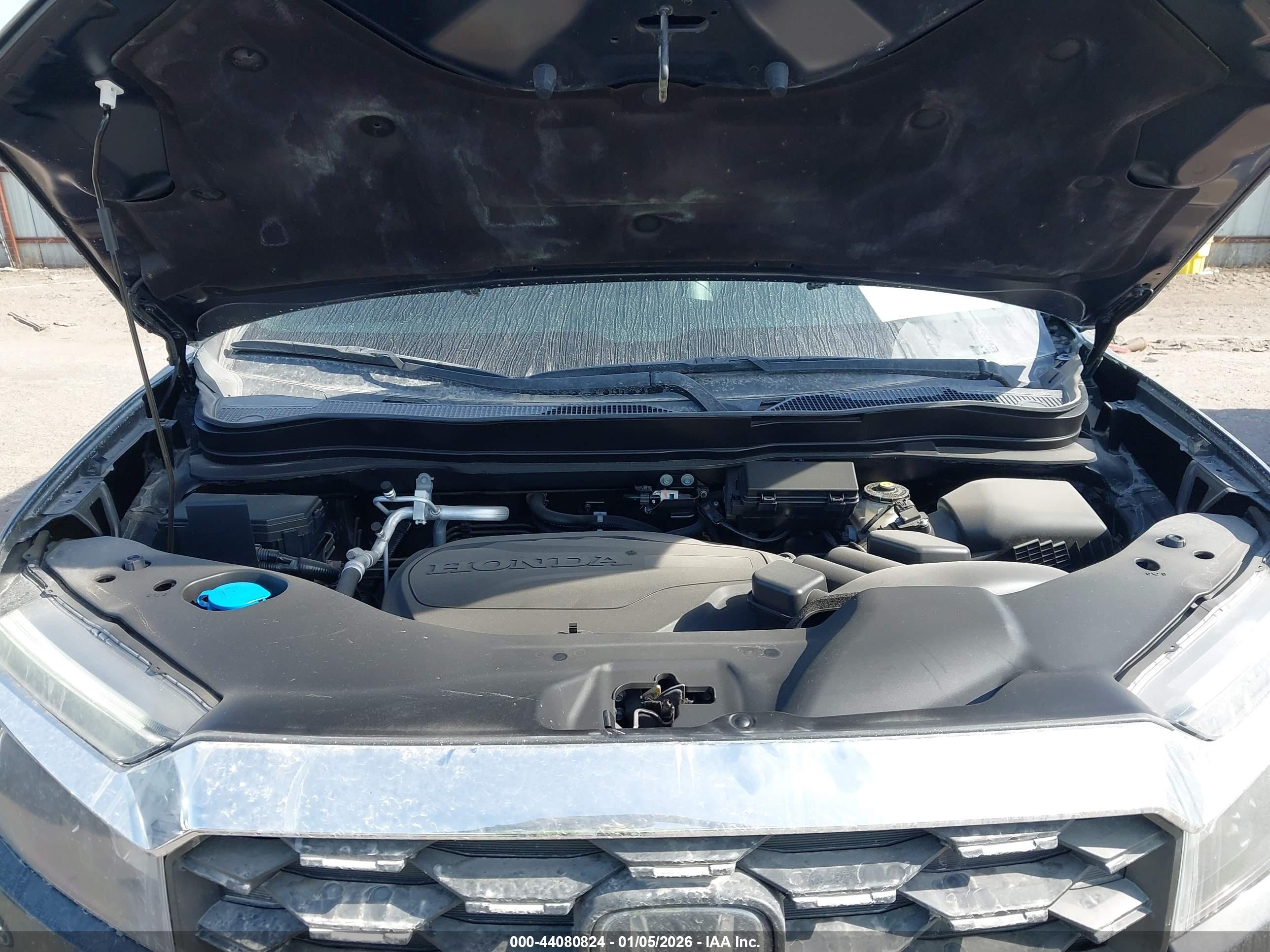 HONDA PASSPORT image 10