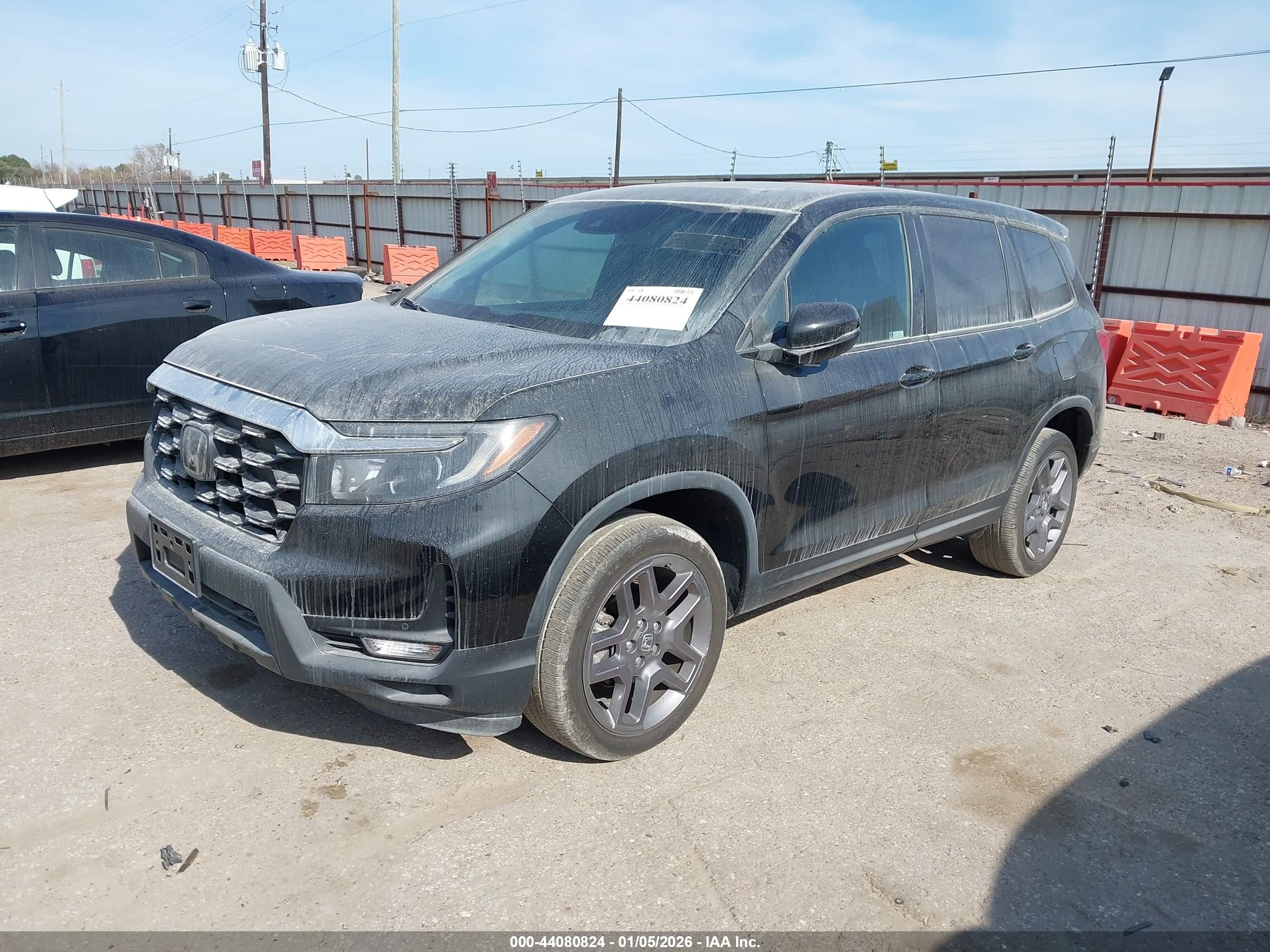 HONDA PASSPORT image 2
