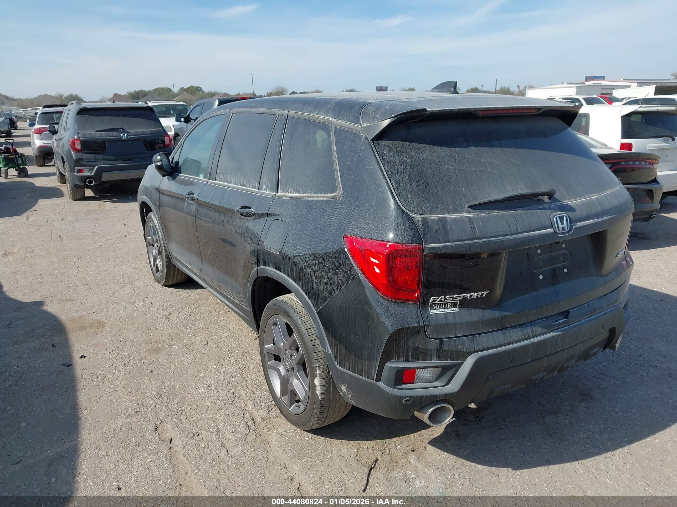 HONDA PASSPORT image 3