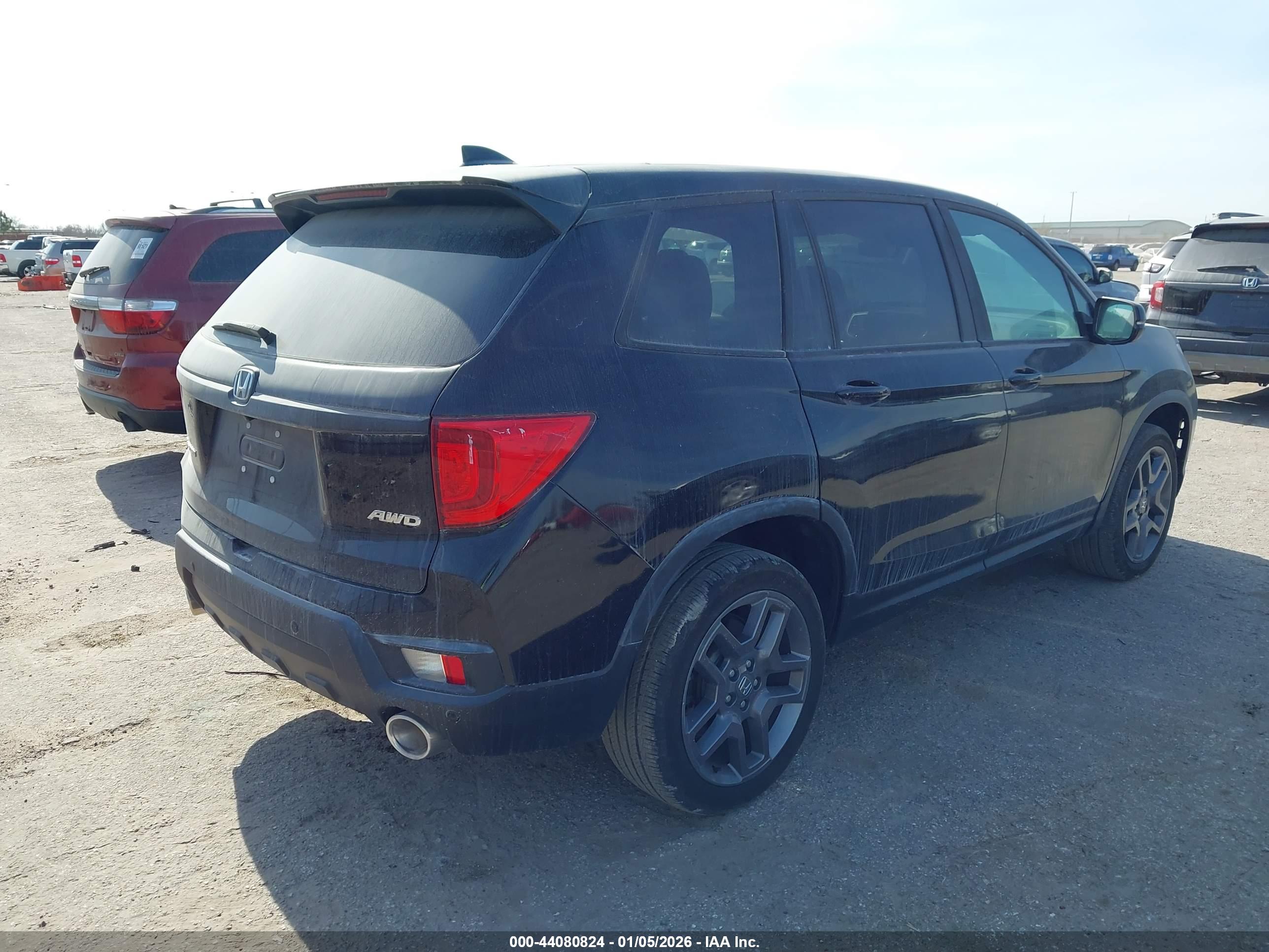 HONDA PASSPORT image 4