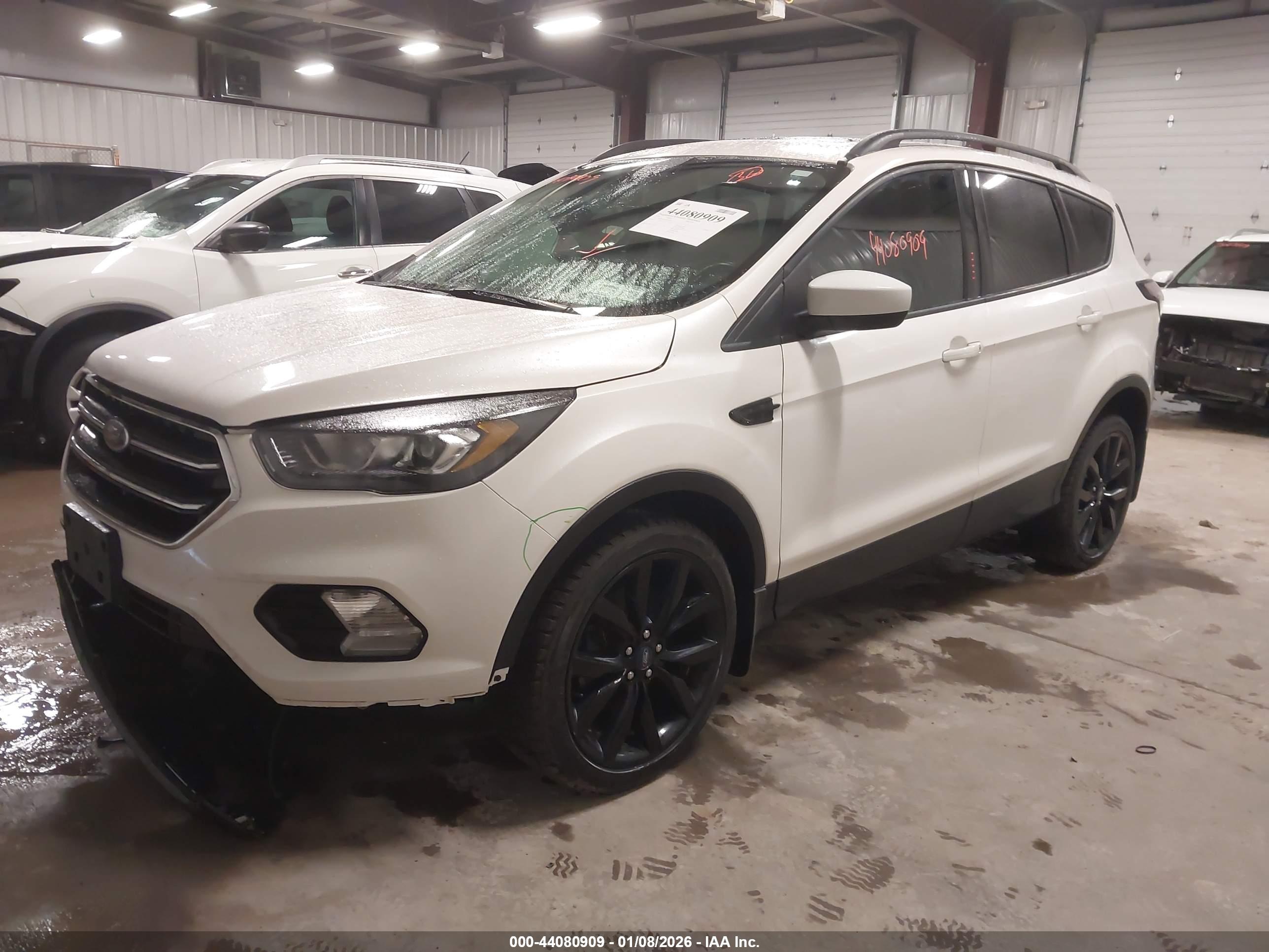 FORD ESCAPE image 2