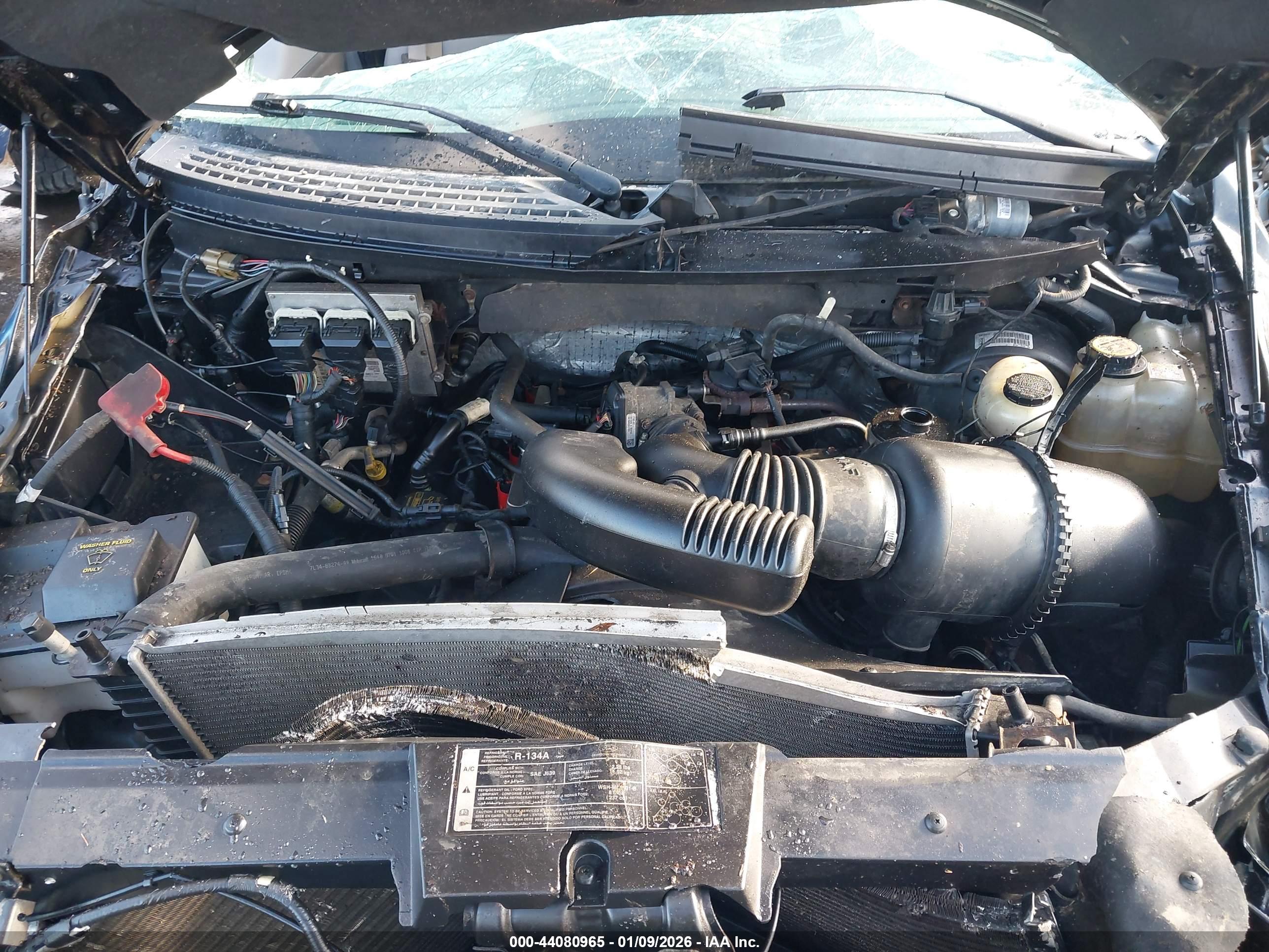 FORD F-150 image 10