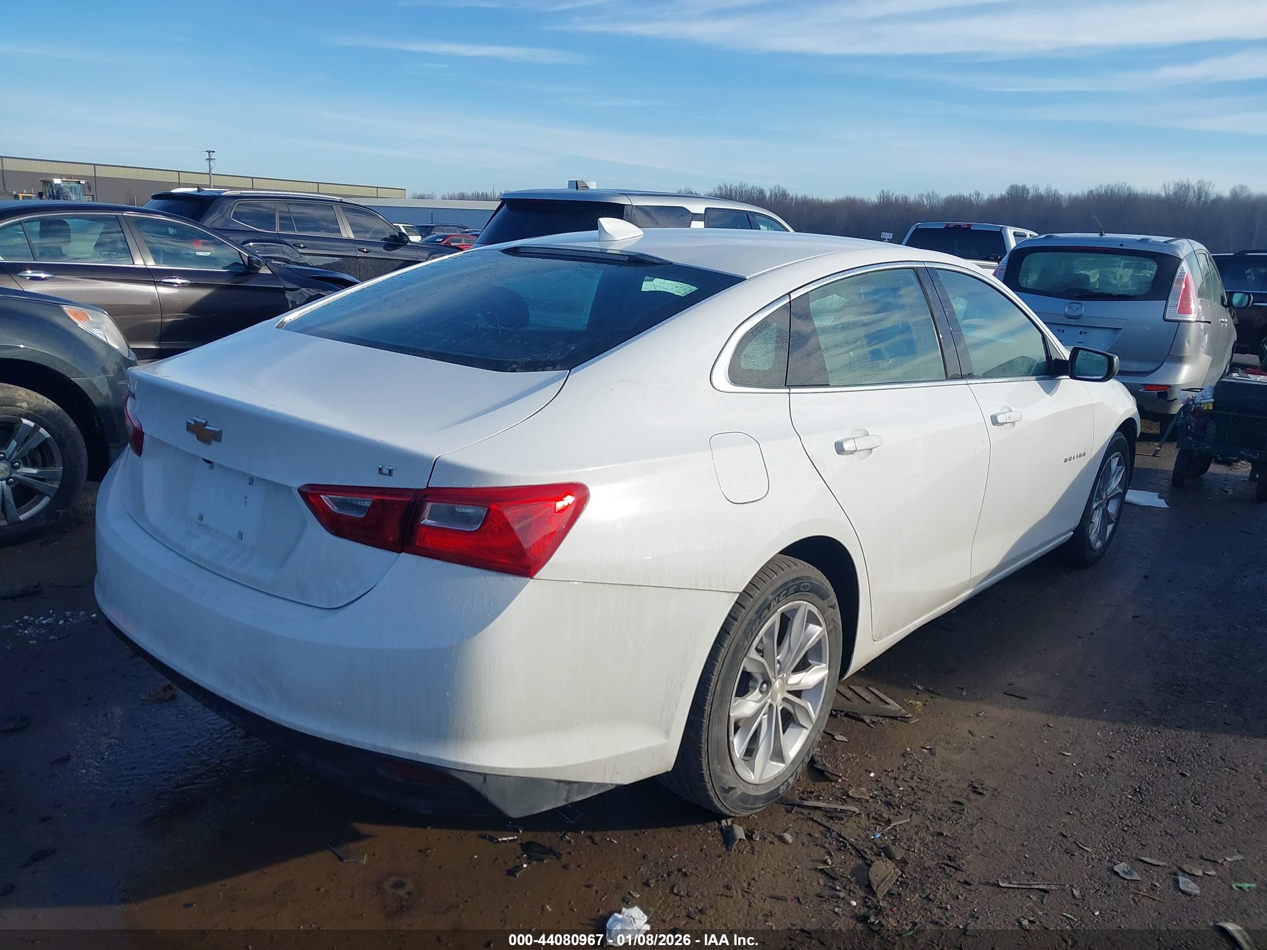CHEVROLET MALIBU image 4