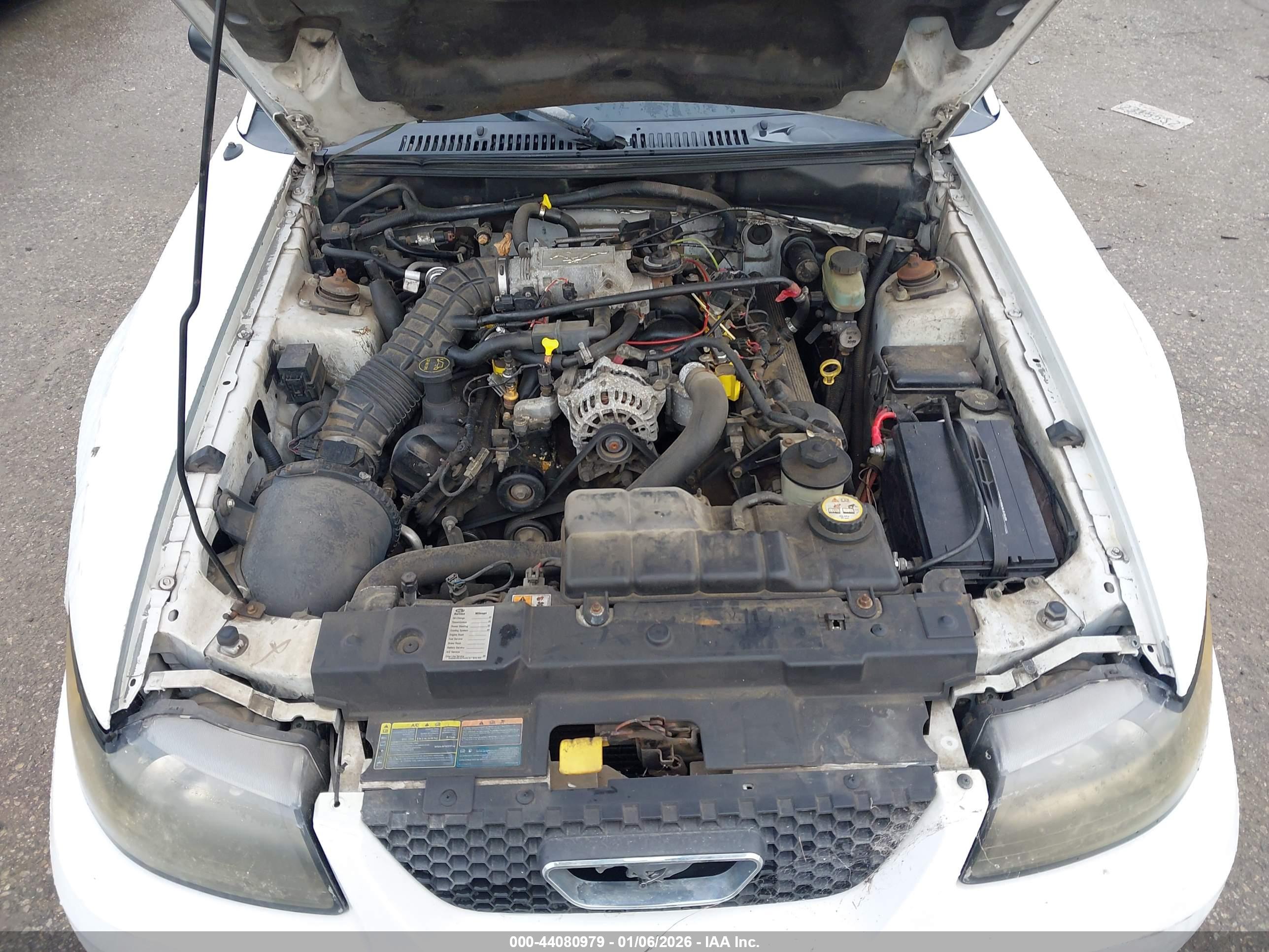 FORD MUSTANG image 10