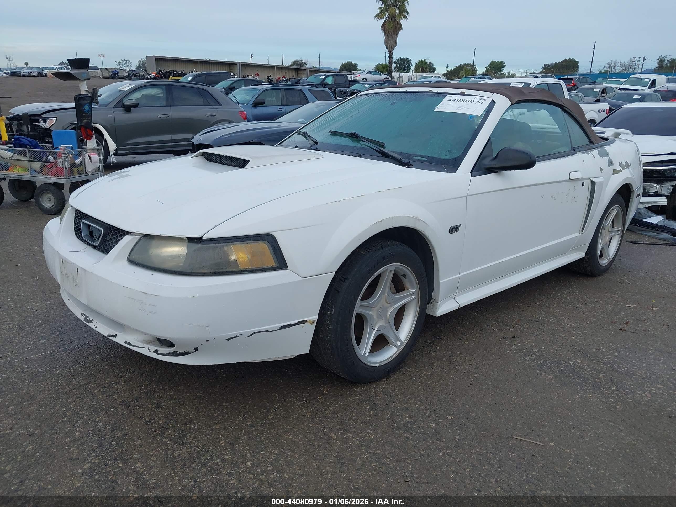 FORD MUSTANG image 2