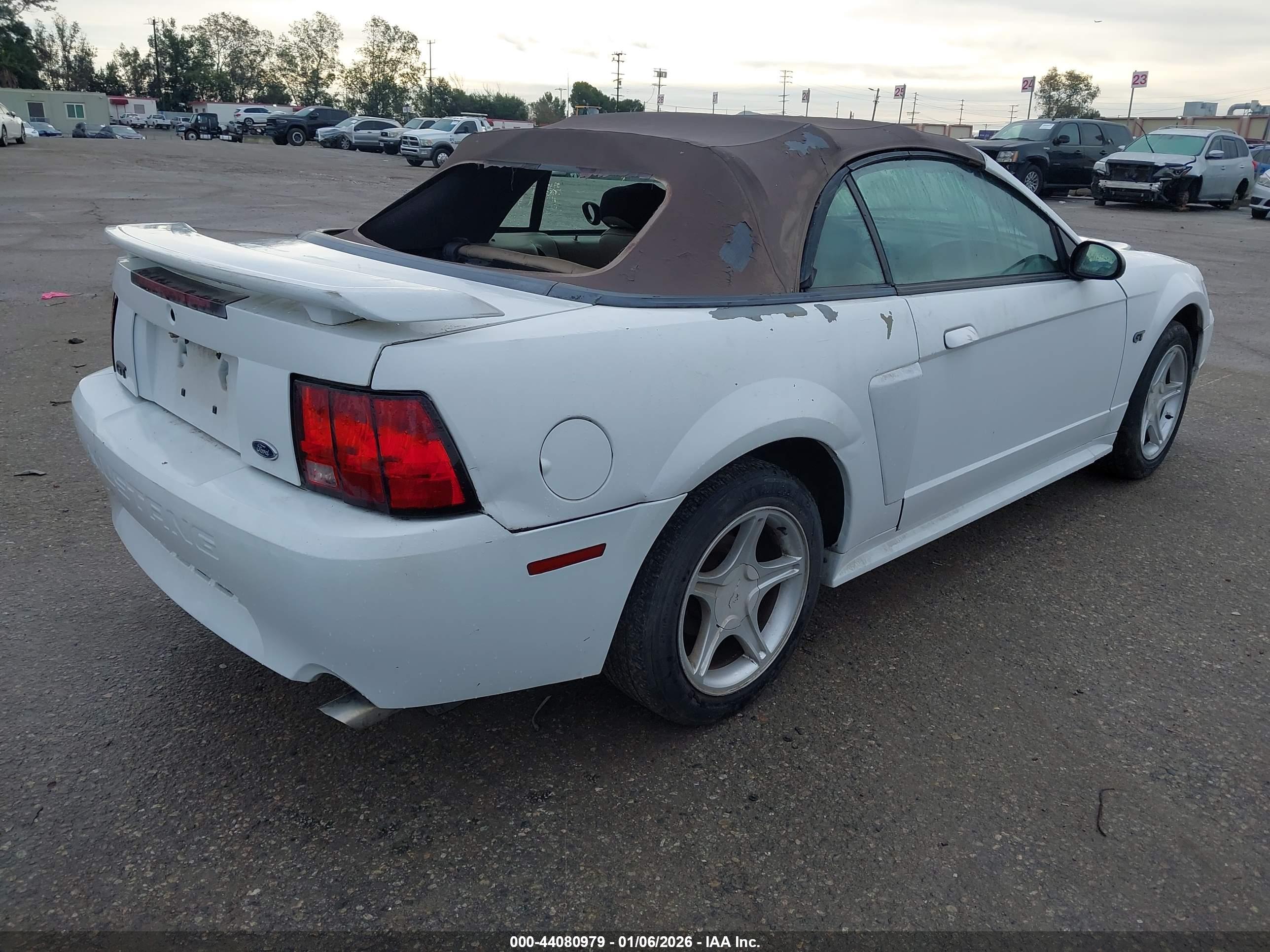 FORD MUSTANG image 4