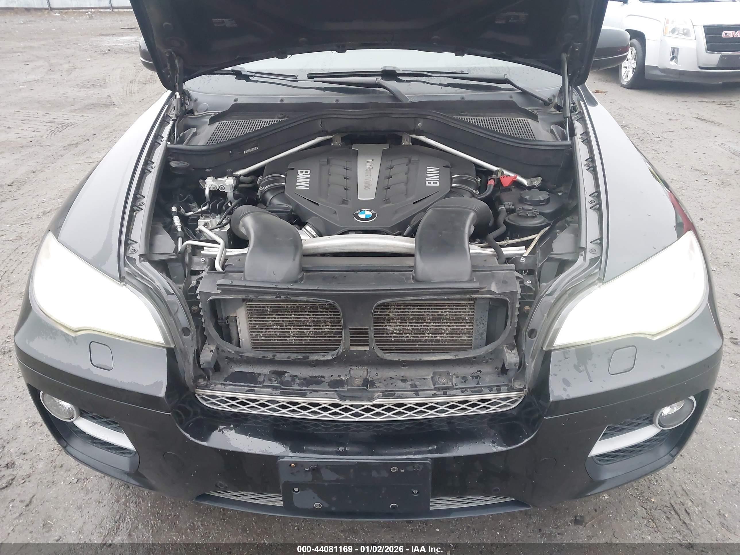 BMW X6 image 10