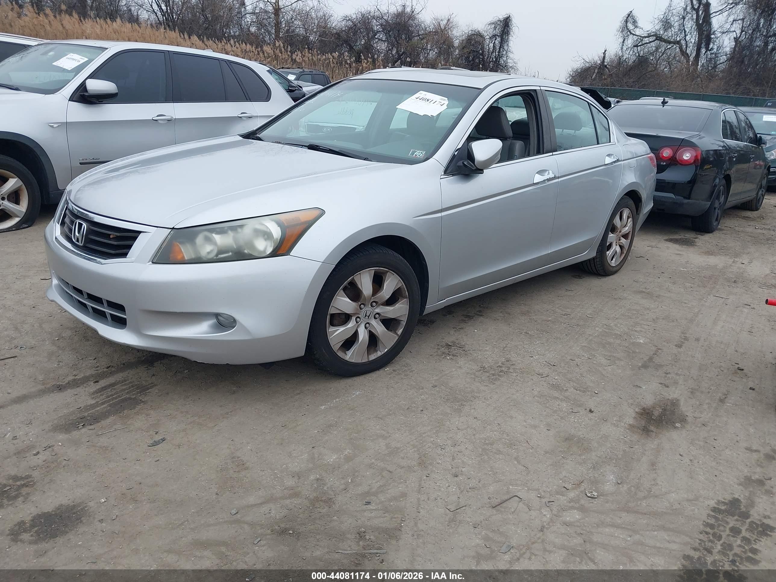 HONDA ACCORD image 2