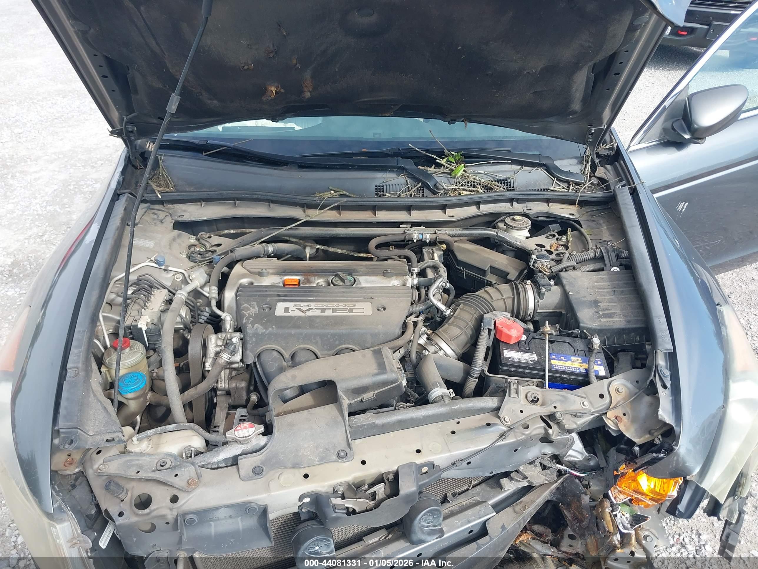 HONDA ACCORD image 10