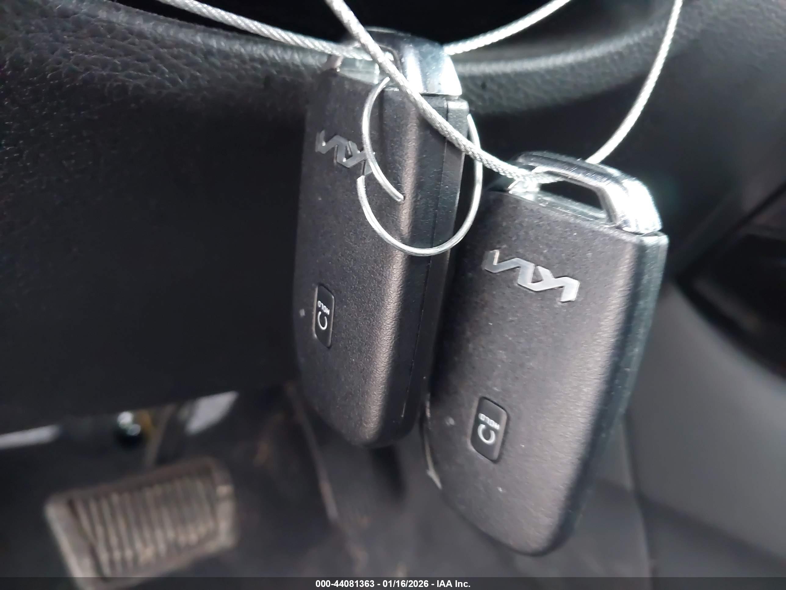 KIA SELTOS image 11