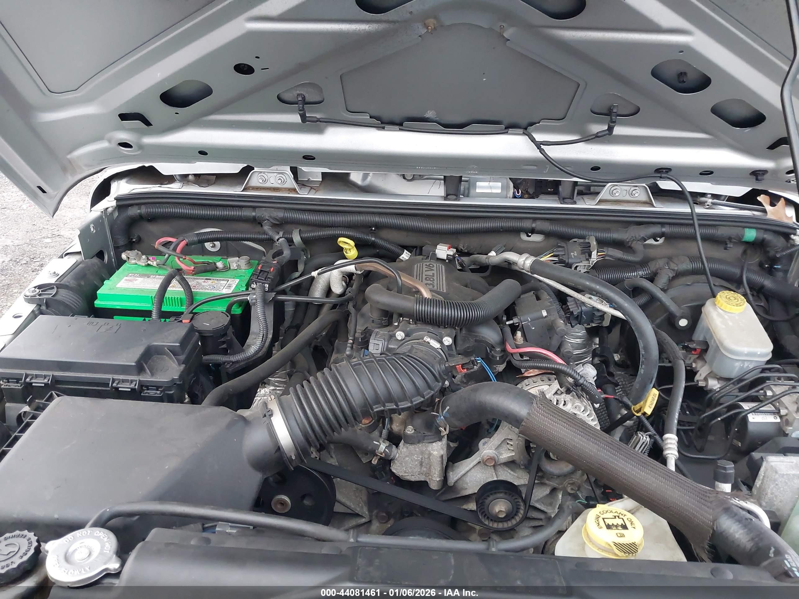 JEEP WRANGLER image 10
