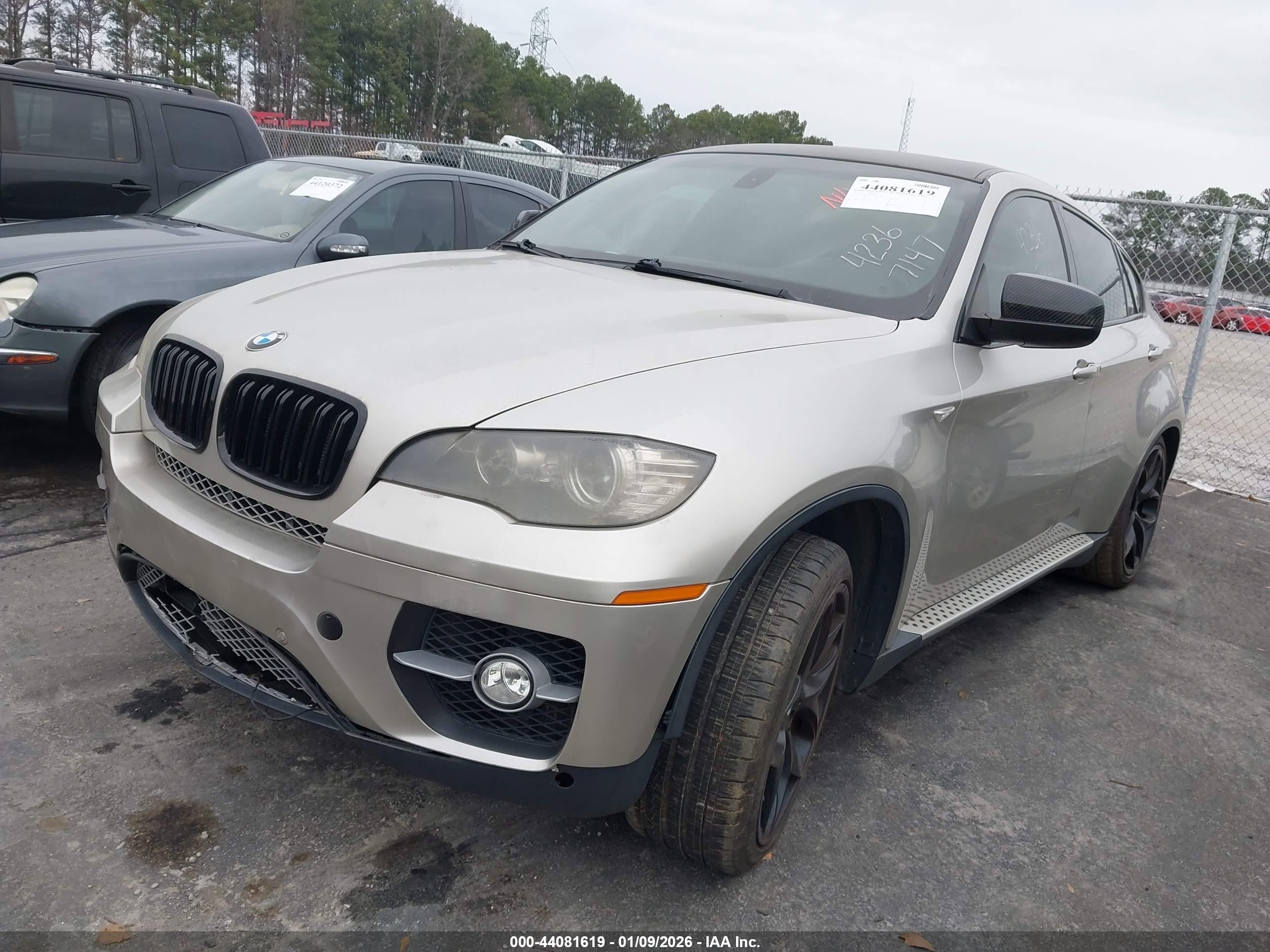 BMW X6 image 2