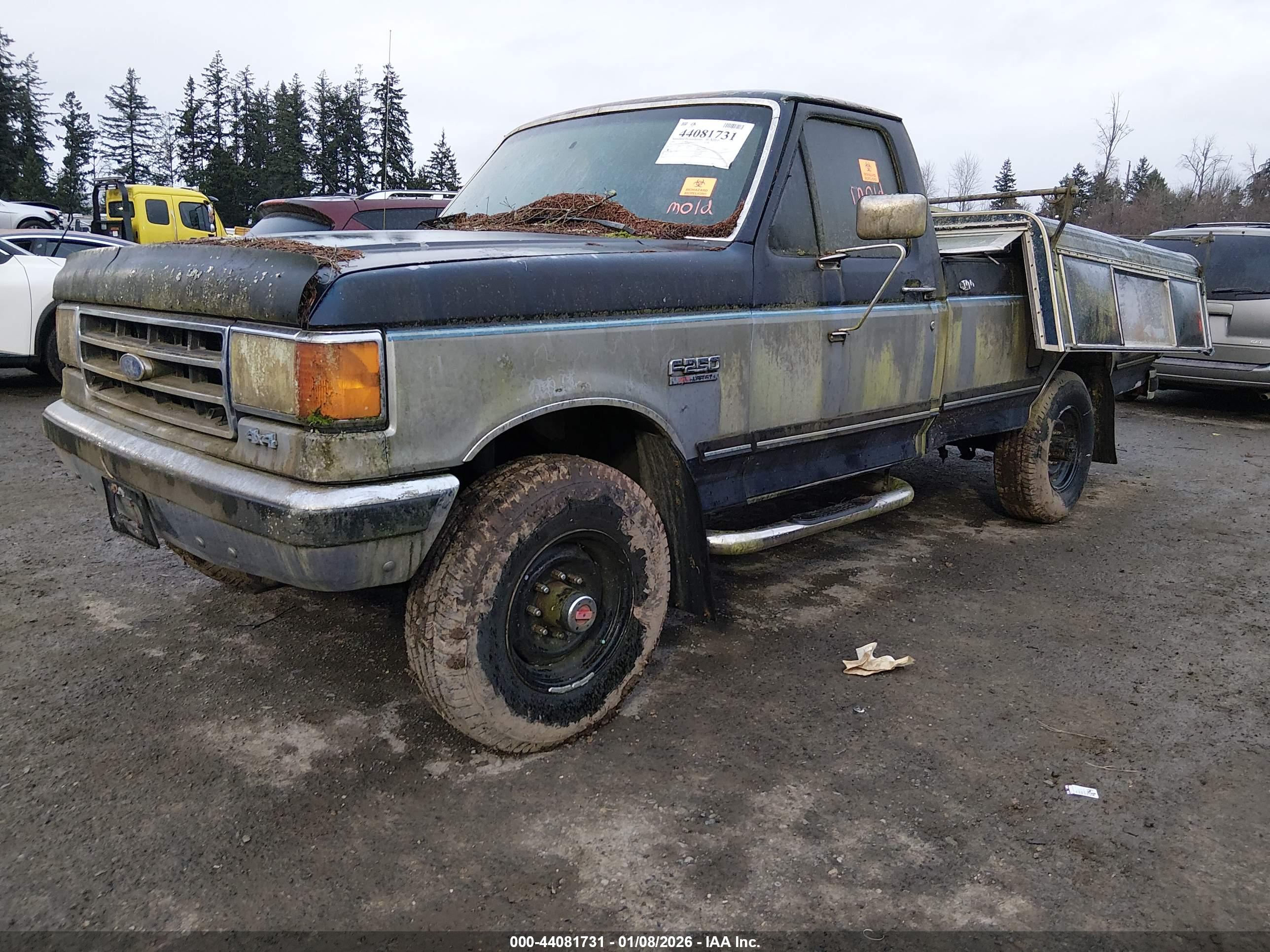 FORD F250 image 2