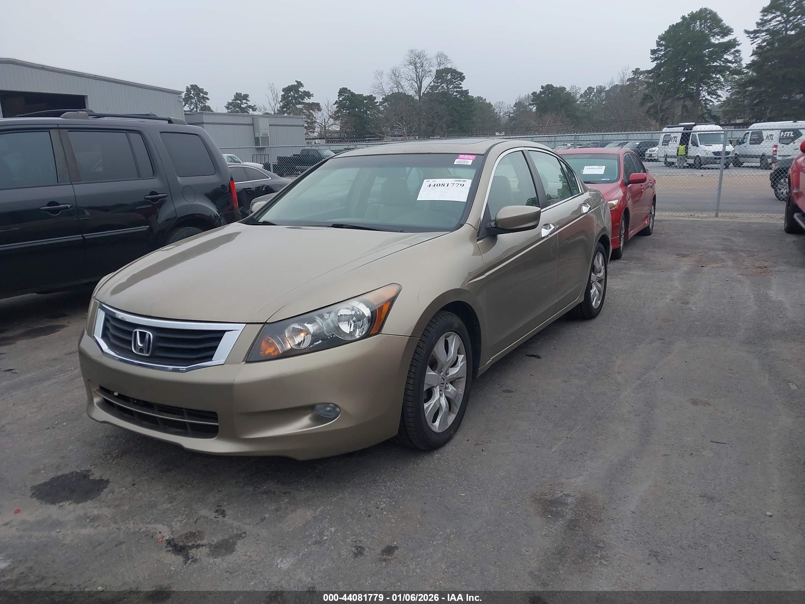 HONDA ACCORD image 2